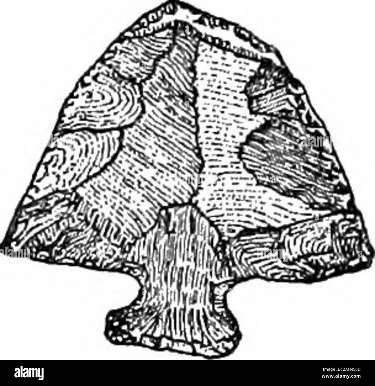 . Archaeologia Nova Cesarea. Maiale. 3. Indian spear-capi di Jasper. (J^) Trattamento di spear-capi trovati nello Stato di New York,Rev. W. M. Beauchampi membri che The Iroquois, secondo Aborigena di pietra scheggiata implementa di New York: Bollettino del Museo Statale di New York. Vol iv, n. 16, p. 39. Albany, N. Y.,1897. 33 Al loro storico, L. H. Morgan, non uso la lancia,mentre: Oti l'altra mano, nella sua immagine di Atotarho,David Cusick collocata una lancia in mano di uno dei suoi mes-sengers. Bruyas ha allusioni a spears nei suoi primi Mohawklexicon, e il loro uso occasionale può essere dedotta fro Foto Stock