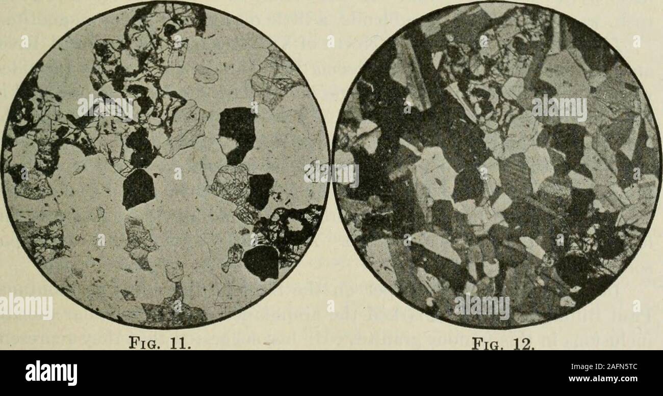 . Le transazioni. Fig. 9. Fig. 10. Fig. 9.-Diorite, Tunnel inferiore, El Norte Mine.Il minerale con fasce parallele è plagioclase. Il bianco chiaro è quarzo. Thedark minerale è principalmente hornblende con un po' di magnetite. Attraversato Nichols.Fig. 10.-la diorite da parete est dell Oriente miniera, Firmeza.La slitta è principalmente plagioclase. Hornblende è riconoscibile nella parte superiore middlepart mediante la sua scissione. Al molto scuro minerali sul lato inferiore destro sono extinguishedplagioclase. La roccia è praticamente identica a quella illustrata in Fig. 9.. Fig. 11. Fig. 11.-olivina gabbri nella Luce Bianca.Il minerale con h Foto Stock