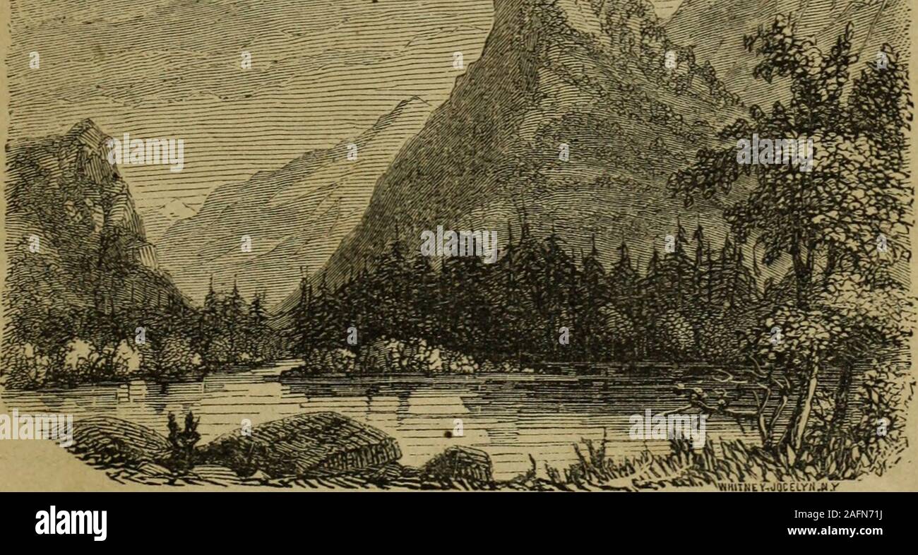 . Appletons' illustrato mano-libro di American travel. Una completa e affidabile guida ... a ... gli Stati Uniti e il British Province. Con attenta mappe di tutte le parti del paese e le immagini di luoghi famosi e scene da disegni originali dell'autore e di altri artisti. Field-Book per strada-ferrovia ingegneri. 1 vol. 12mo. Tuck, 1 75Jeflers. Teoria Pratica Sc di Gunnery navale. Il valore di svo. Illus. 2.50Johnstons chimica della Com-mon Eife. Illustrato. 212mo. :H, 2 00 o, negli ovini, 2 25Eyells manuale di geologia.8vo. Illustrato.. th, 1 75 negli ovini, 2 00 Principi di geologia. 1 grande vol. Il valore di svo. Io! T Foto Stock