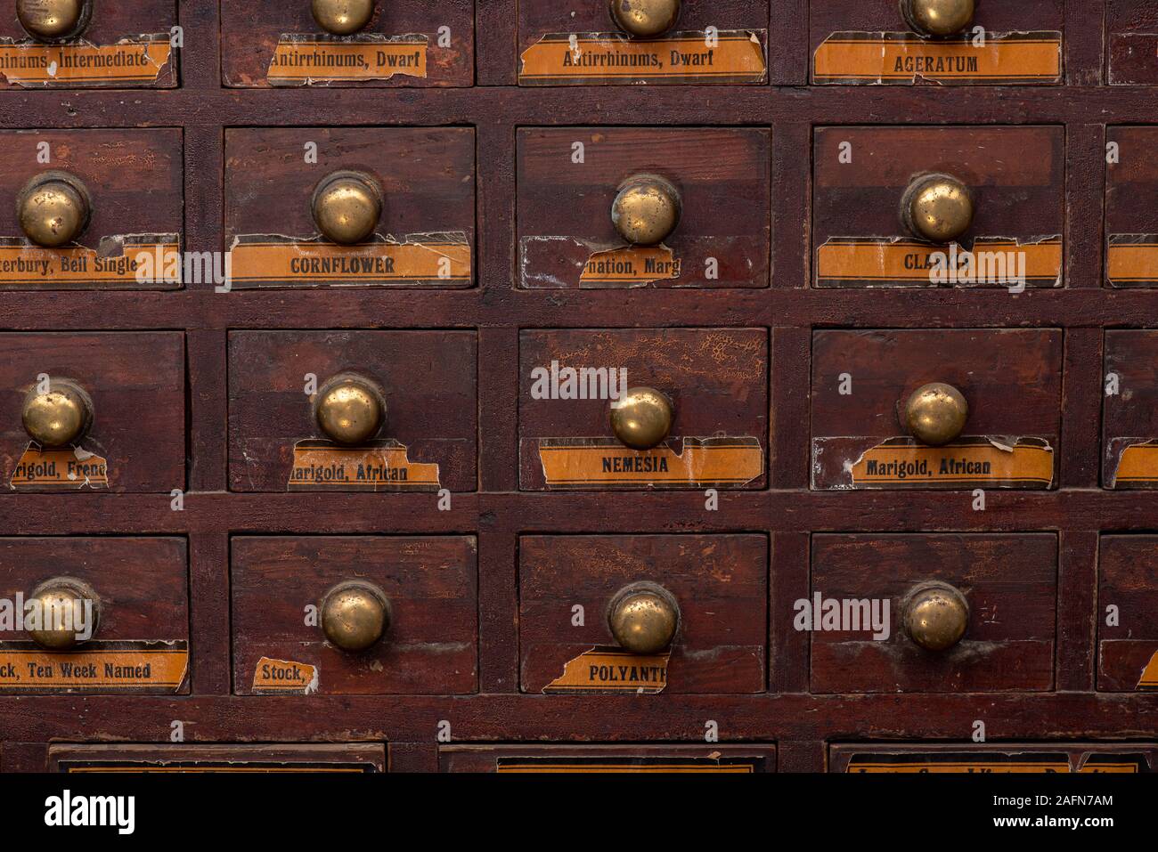 Ricreato lo stile di vita della gente da Kent, negozio di forniture per sementi di fiori per lo storage in cassetti di legno, Regno Unito Foto Stock