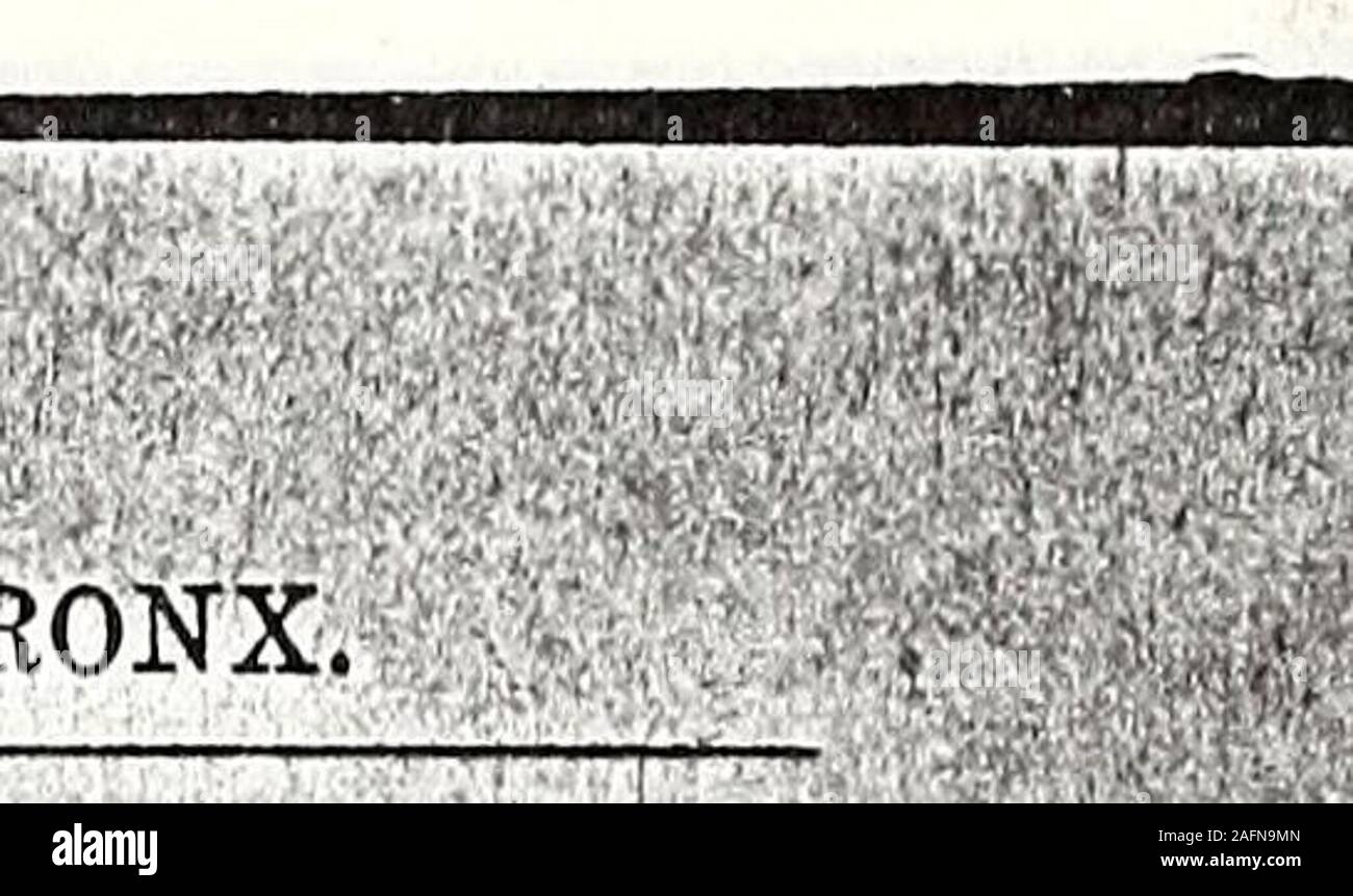 . Trow il direttorio generale del distretto di Manhattan e il Bronx, città di New York. ?* 728..?;?.: BOEOtfGJHS; di Manhattan e il Bronx•.Notai Pubblici.. levlne Saul. 142 E Bwaylevinson Isabel, 165 Bway R1108prelievo di Abramo, 30 Chiesa R313 E ,:; prelievo di Abramo H. 376 Grand . Prelievo di Abramo L. 49 Jeff ? Prelievo , Arthur M. 55 Liberty R607? Prelievo di Benjamin, 199 Broome e prelievo di Benjamin, 456 E PRELIEVO175TH C. Arthur. 96 parete. R501 ?; Levy EDWARD J. 389, 8 av /Prelievo Ellas 6. 158 E57thlevy Ellis V. 280 Bway R132Prelievo Harry M. 45 W34TH R410 I prelievo di Henry. 181 E PRELIEVO121st Henry R. 171 Bway R17prelievo di Hugo, 37 Liberty R Foto Stock