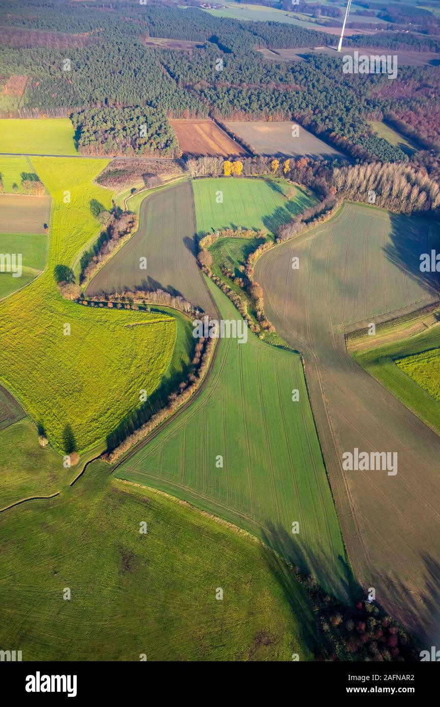 Foto aerea, verdi prati e campi, la forma della testa, ex braccio di fiume, Lippeauen, Lippemäander, fumetti figura, forme di paesaggio, Westruper Straße, Halter Foto Stock