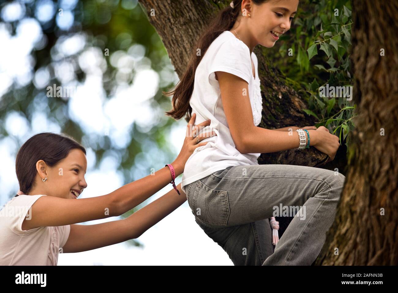 Ragazza aiutando il suo amico salire l'albero. Foto Stock