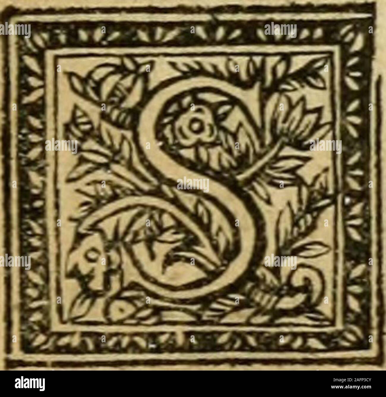 . Abbregé chronologique, Extraict ou de l'histoire de France. CIO VIS encore tnfmt (^ ncv.ny mdhinentyfoyoh les Nations qui s^ejioient mutinées ;Smjmifes par Pépin à fin Gowvtïucment ,^e illuminato mort le prévint ue fei tendres Années, 353 OL - . .   . -.  Q€&GT; ^-:f, ^fi* ^^ ^^ ^^i ^-io ho* I^^^^^^^^^^^^^ î*&LT;^ i*^ s^d i^^ii:© CLOVIS III ROY XVI. E^ JVeftflrie ^ en Bourgongne, Pipino Maire en Neufltie , ér Souverainen Auflrafie, Il y euft ue deux roys,il euft falu neceffaire-mento deux maires : EtPépin vouloît fèul te-nir cette carica. Il nepouvoit dailleurs fouffrir de roy enAuftrafie , parce qui Foto Stock