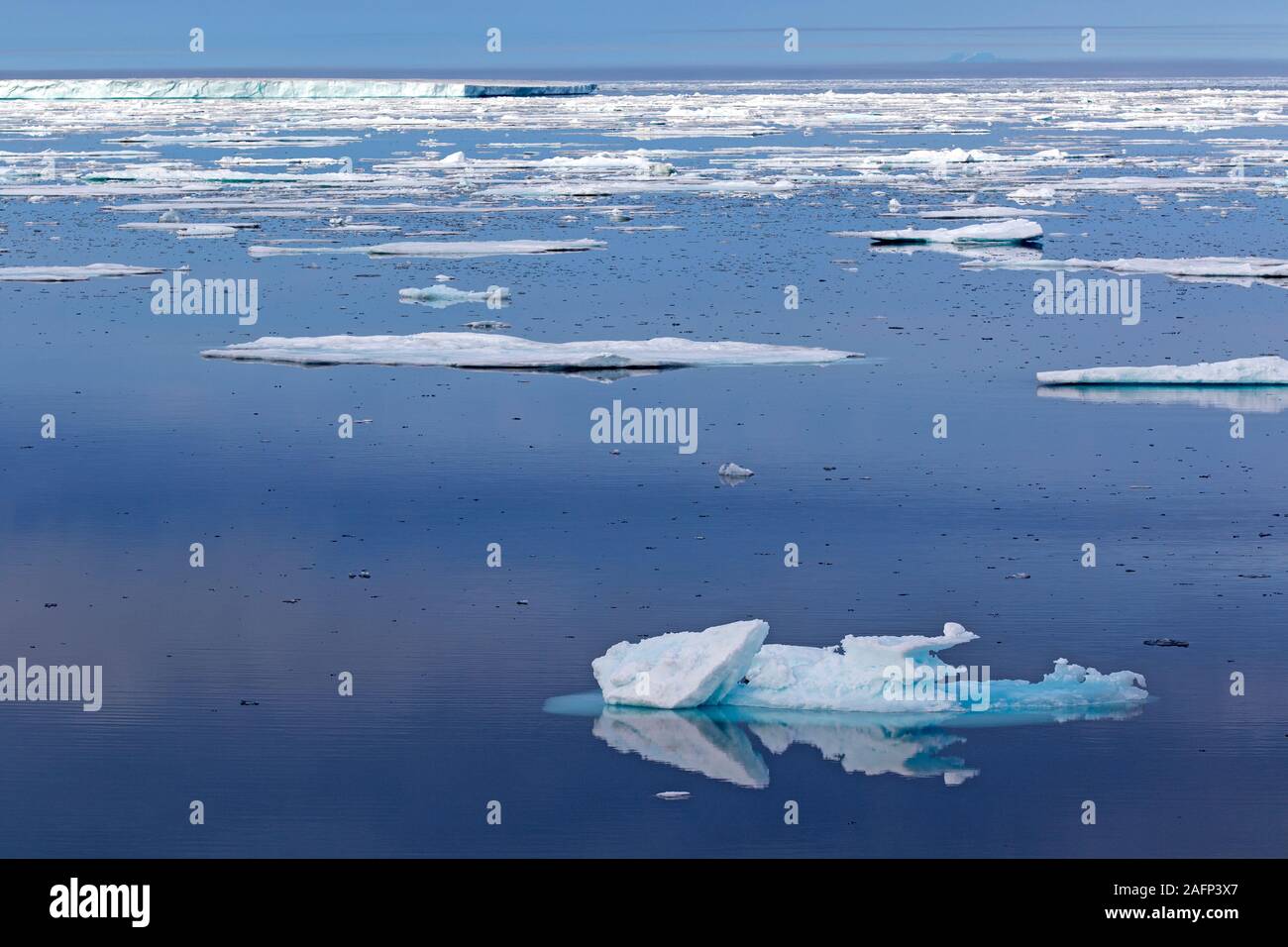 Mare di ghiaccio della costa orientale della Groenlandia Foto Stock