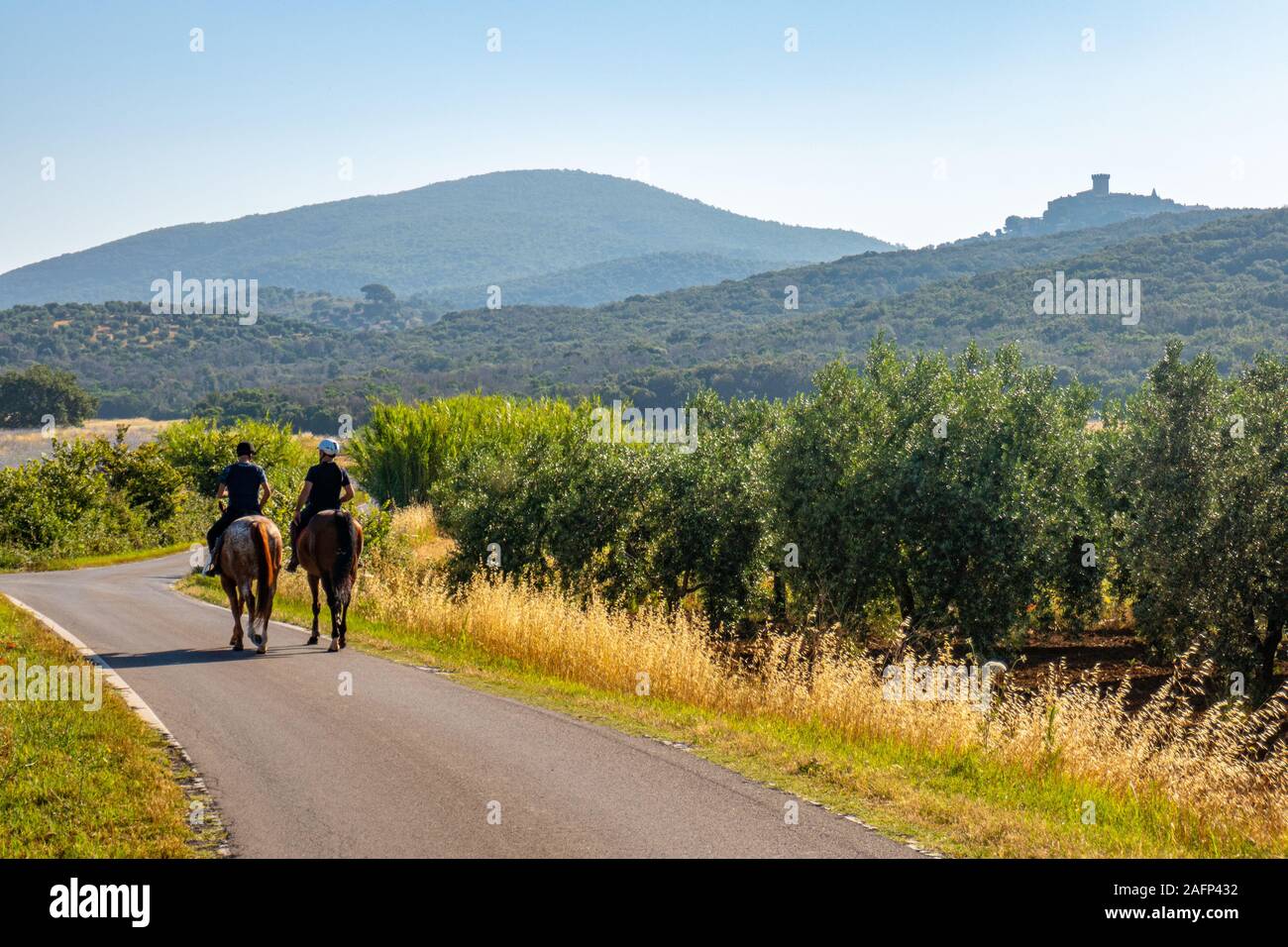 Due cavalieri su due cavalli con la skyline della città di Capalbio su sfondo in Toscana Italia Foto Stock