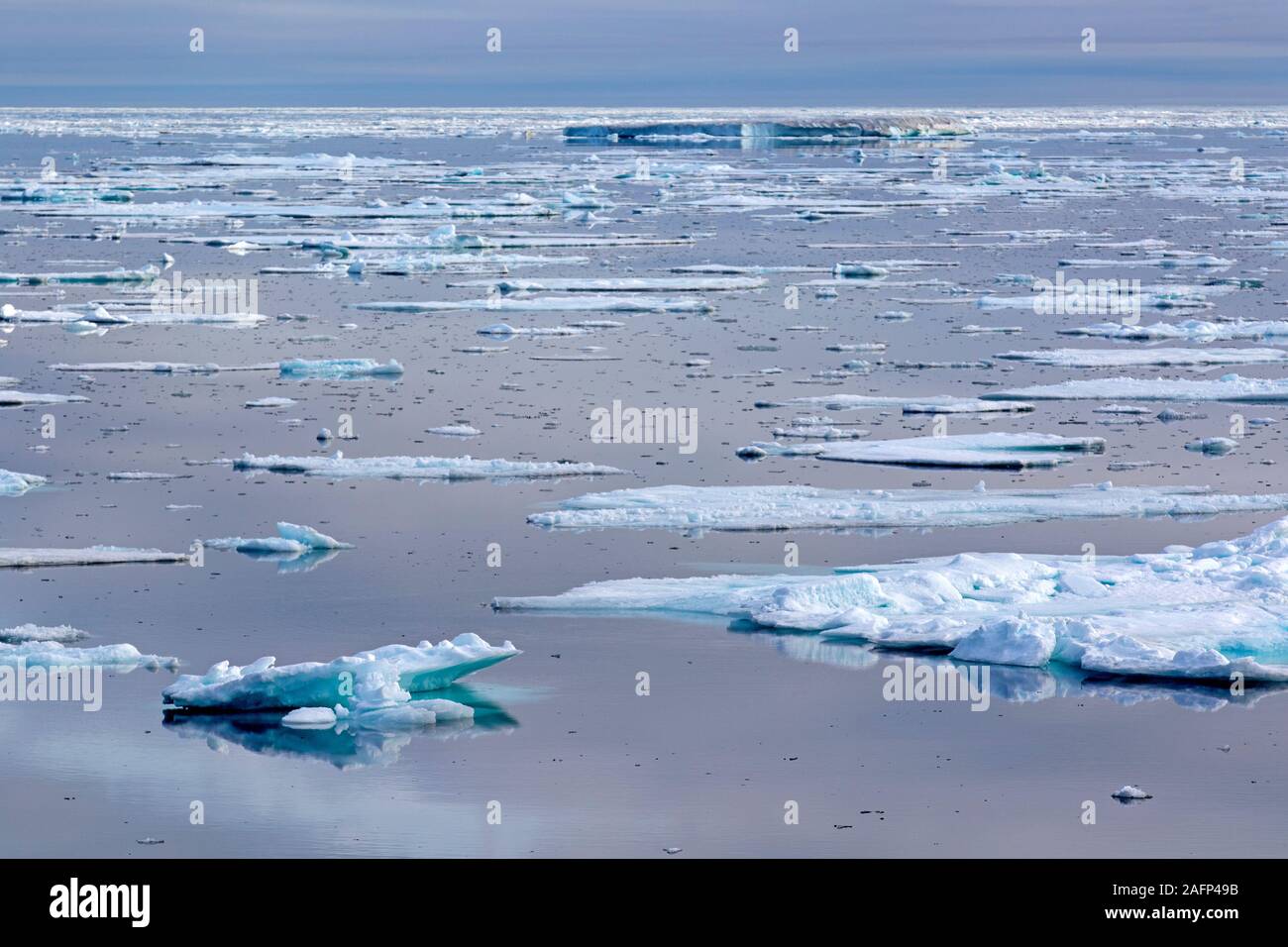 Mare di ghiaccio della costa orientale della Groenlandia Foto Stock