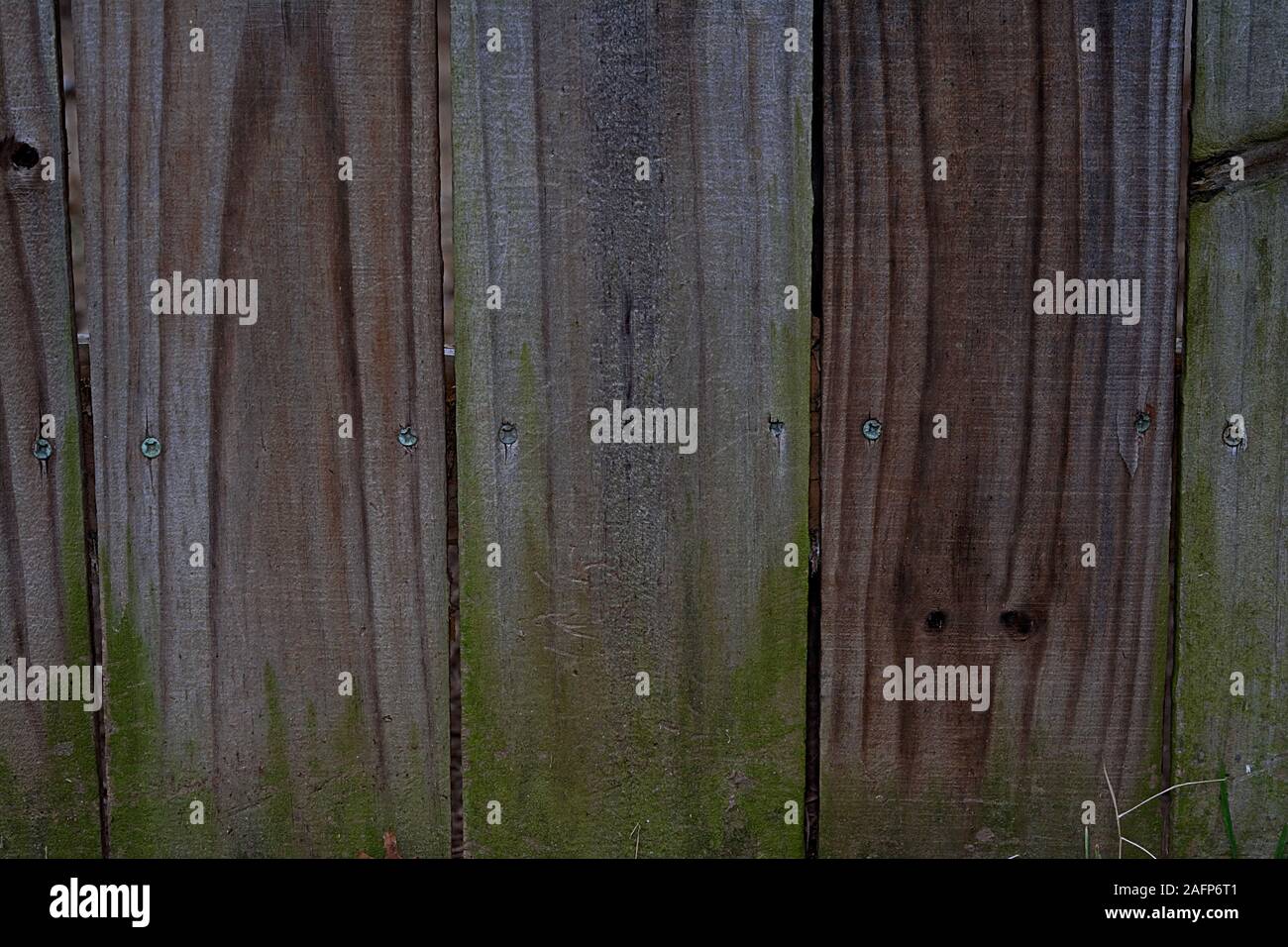 Qui sono alcuni di legno doghe verticali con alcuni muschio cresce dal fondo Foto Stock