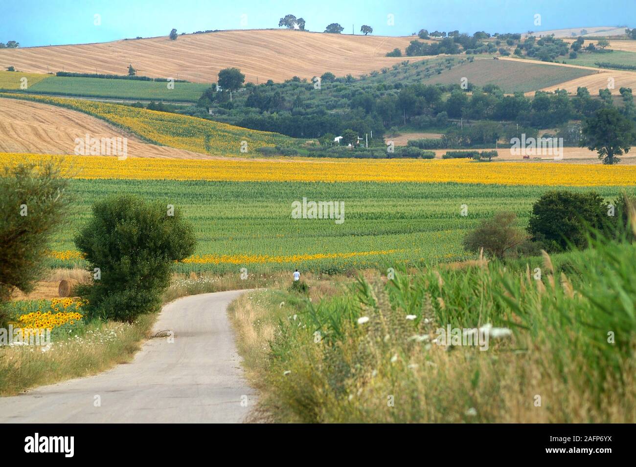 Sunny paesaggi del Molise campagna in Italia meridionale. Foto Stock