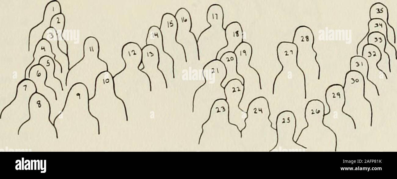 . Il rododendro [numero]. 1. Vicky Poulos 2. Becky Waldsworfh 3. Kitty Jones 4. Rachel Vaden 5. Brenda Pulliam 6. Kathy Howie 7. Judy Aplin 8. Rosemary Williams 9. Peggy Allen 10. Claudia Stout 11. Carlo Giles 12. Rita Sigmon 13. Sandy Davis 14. Carolyn Reece 15. Lo zenzero Mohr 16. Debbie Edwards 17. Jan Wotson 18. Judy Turner 19. Elaine Tedder 20. Susan Bradley 21. Bennie pace 22. Kay Davis 23. Patsy Creasy 24. Cheryl Todd 25. Marion Arnold 26. Baird Norcno 27. Jan Corcoran 28. Shay Helms 29. Donna Tolly 30. Diane re 31. Peggy Greer 32. Annette Fortune 33. Judy Clark 34. Vonda Stroupe 35. Foto Stock