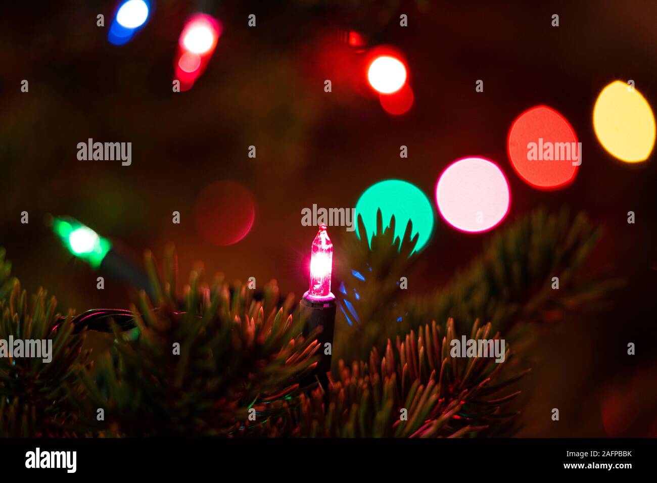 Close up di luci di Natale su albero di Natale in Colorado, USA 2019 Foto Stock