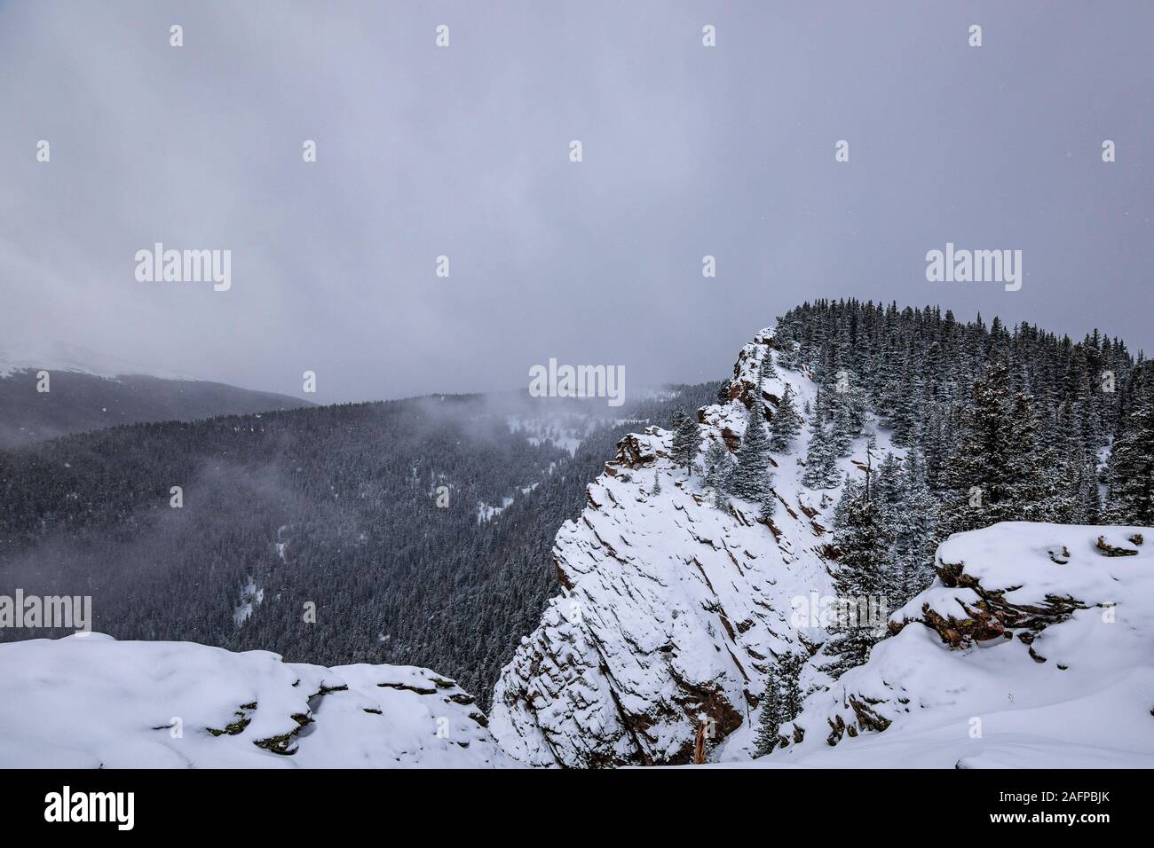Paesaggio wintery di ginepro pass Colorado, USA L'inverno 2019 Foto Stock