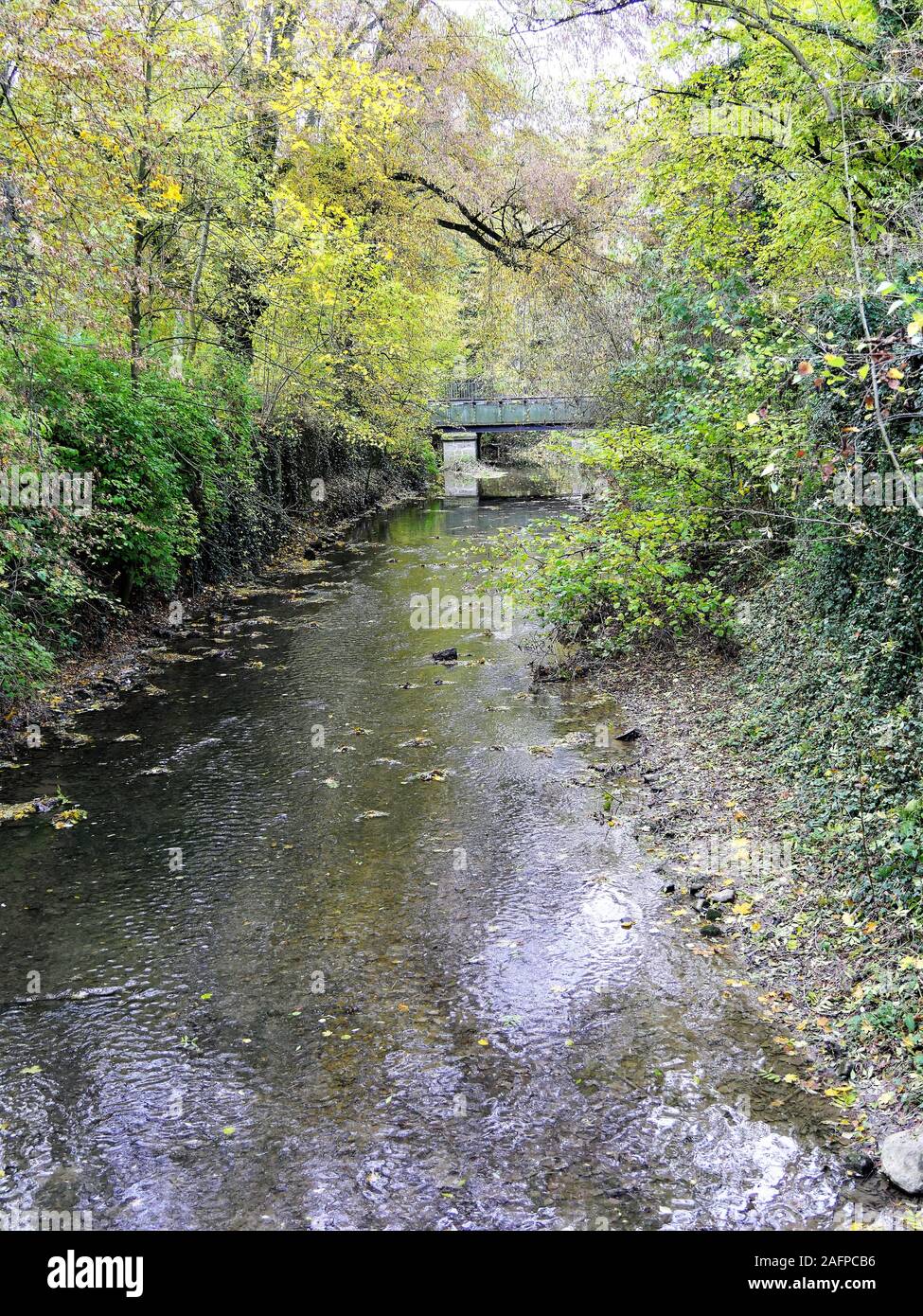 Bagliore dorato di autunno foglie riflessa in poco stony creek . Foto Stock