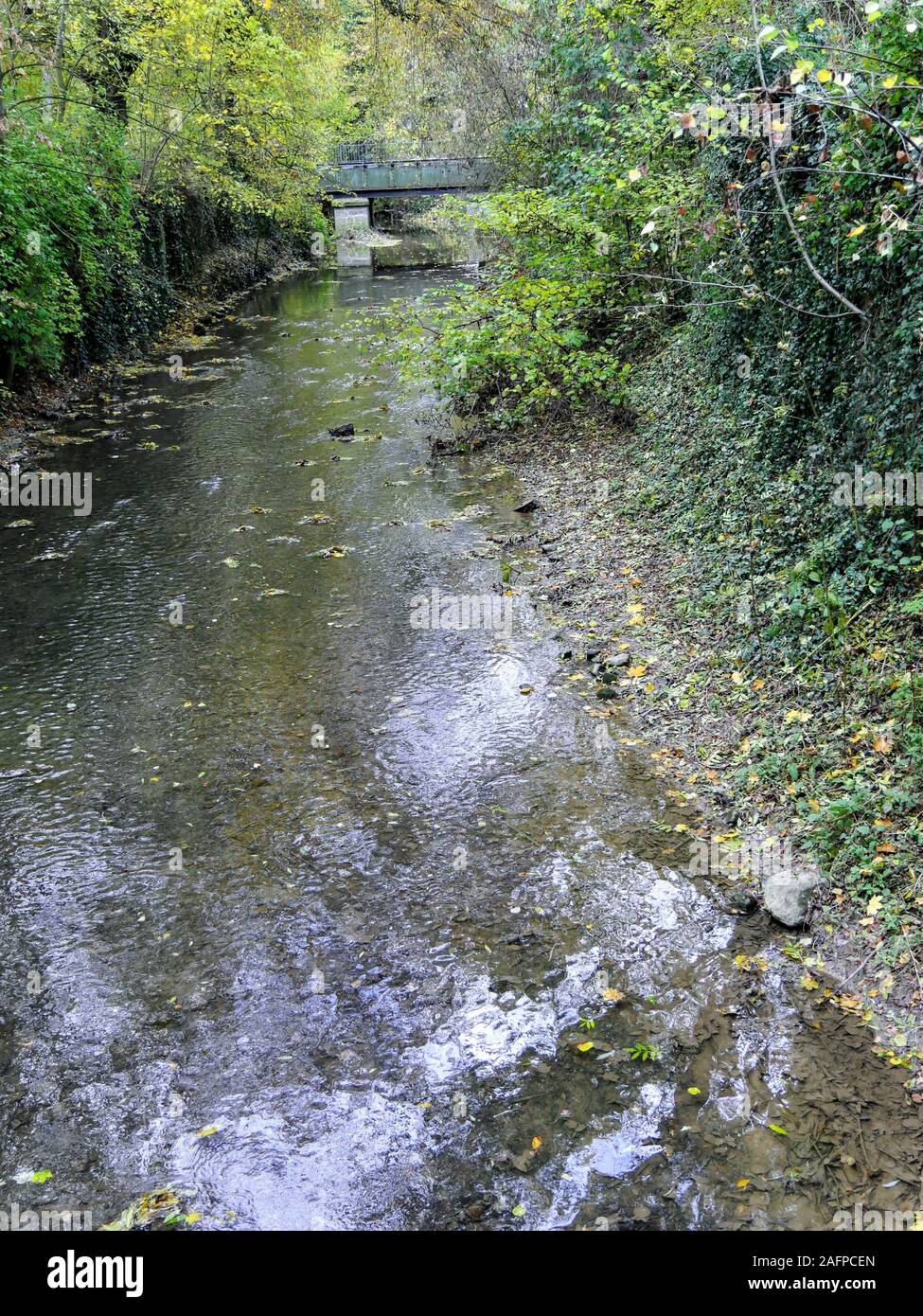 Bagliore dorato di autunno foglie riflessa in poco stony creek Foto Stock