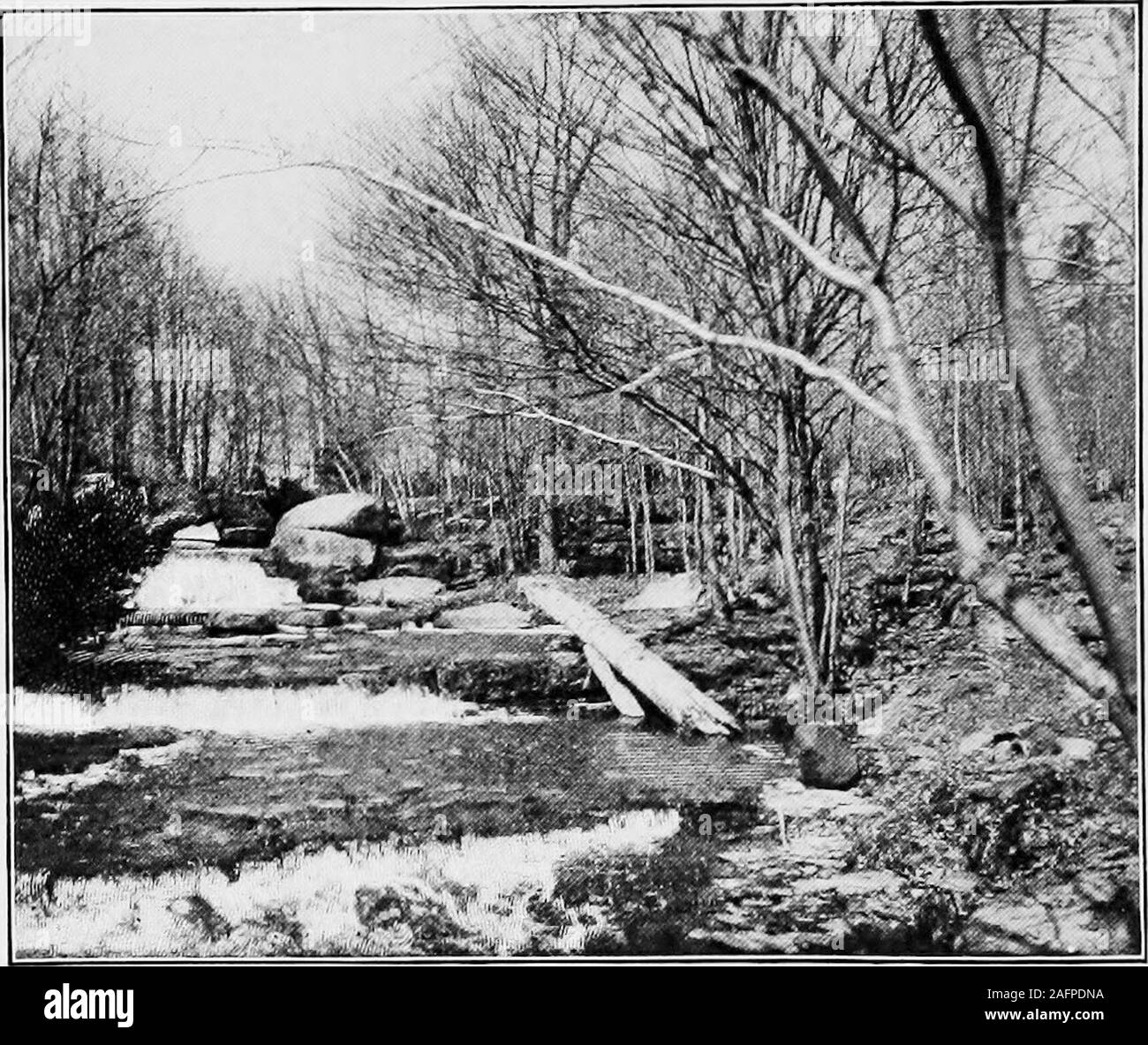 . La prova per i boschi. andbrown come fossero stati quando il primo snowflakefeU. Non importa dove siete andati, avete sempre heardthe suono dell'acqua. Forse era solo aslight trillo all argento di un piccolo ruscello sensazione lentamente la sua wayunderground al più ambiziosi di flusso. Orperhaps era il fragore del torrente swollento ora un turbolento, schiumatura fiume; ma era acqua,acqua mai)rwhere. Un ragazzo di una decina di estati era in piedi in thedooryard di una vecchia casa colonica, ascoltando i molti-tongued sussurro della molla. Non vi era alcun oneparticular cosa che ha trasmesso questo lieto messaggio tohis orecchie, solo una v Foto Stock
