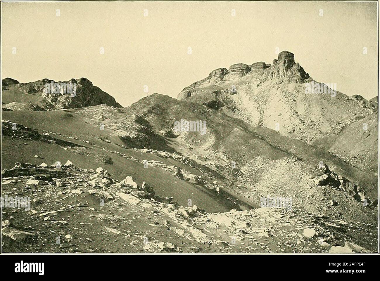 . Zoologia dell Egitto. f il mare furono costretti ad abbandonare il tentativo da parte del motivo del immensesea di dune di sabbia che hanno incontrato. Pertanto essi hanno rivolto il loro corso finoal N.N.W., e procede verso l'oasi di Siwah lungo un percorso previouslyunexplored. In questo cammino hanno avuto la loro prima esperienza di un continuo rainin deserto libico. Si è cominciato alle 6 del mattino del 2 febbraio e durato fino al 2 P.M.il 4 febbraio ; 1G mm. cadde e la pioggia ha penetrato la sabbia per un deptli di17 cm. Essi successivamente accertato che quasi tutto come molta pioggia era scesa atDakhel e a Kha Foto Stock