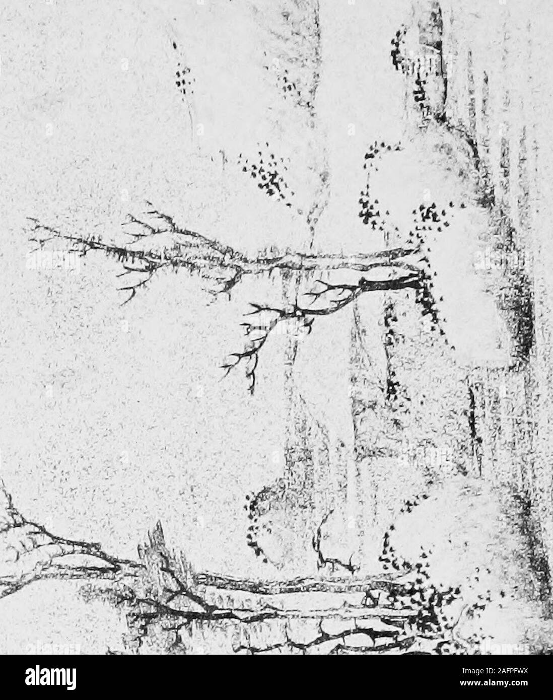 . Liriche cinesi. tle plain ?non riesco a vedere il peach-treesBecause della nebbia e pioggia. [ 30 ] Il beige a attraversare il fiume di schiumatura il ponte vecchio si flette la sua prua ;i miei padri padri costruito itIn età molto tempo fa. Essi ncTcr sinistra farmsteadPast le cui acque arricciata. Perché una dovrebbe sempre vagare-quando qui è tutto il mondo : la famiglia, gli amici e il giardino ; piccoli campi di riso e tè ;il bestiame nel prato ; gli uccelli nel flusso e albero ; il corteo delle stagioni come il lento passare degli anni ;tra le vette al di sopra di noi un ponte azzurro del cielo. Anche se morti sono vivi e linger in ogni familiarità placeWith kin Foto Stock