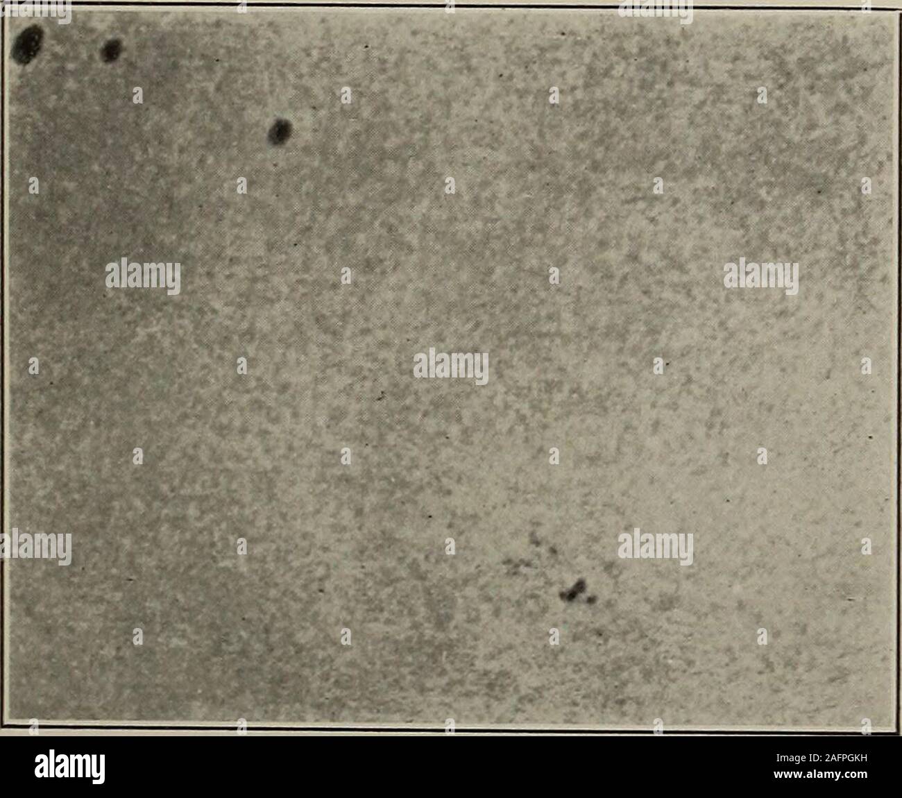 . La scienza popolare mensile. nd sud. Peculiarità locali,come i depositi di minerale di ferro, influenzano anche la sua direzione molto materialmente.In tal modo una variazione grafico che indica la deviazione del compassneedle dal nord geografico, offre un eccellente illustrazione del theirregularities del magnetismo terrestre. La necessità di frequenti sondaggi andaccurate del campo magnetico della terra è illustrata mediante il factthat Carnegie ha riscontrato errori di cinque o sei gradi in varia tion grafici dell'Oceano Pacifico e Indiano. In vista delle masse struttura eterogenea che è sufficientlyill Foto Stock
