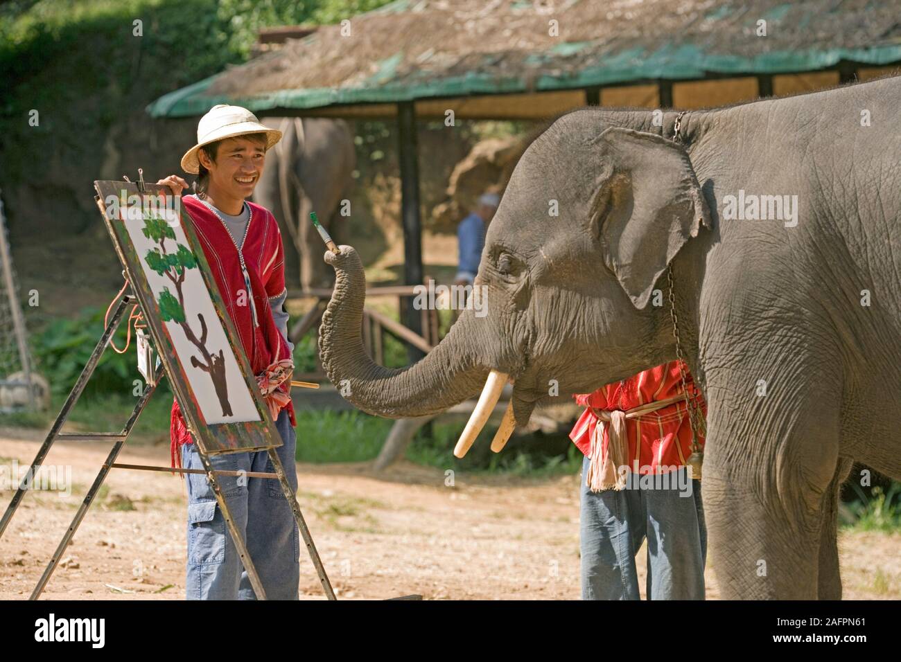 Elefante asiatico (Elephas maximus), addestrati a dipingere immagini, "tele" su cavalletti. Maesa Elephant Camp, Chiang Mai, Thailandia. Foto Stock