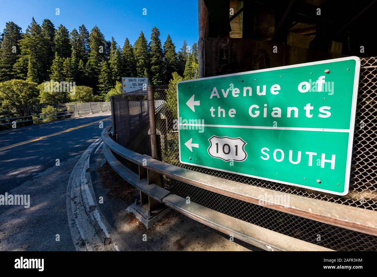 Il 31 maggio 2019, N CALIFORNIA, STATI UNITI D'AMERICA - Viale dei Giganti e sequoia gigante foresta lungo la Route 101 in N California Foto Stock