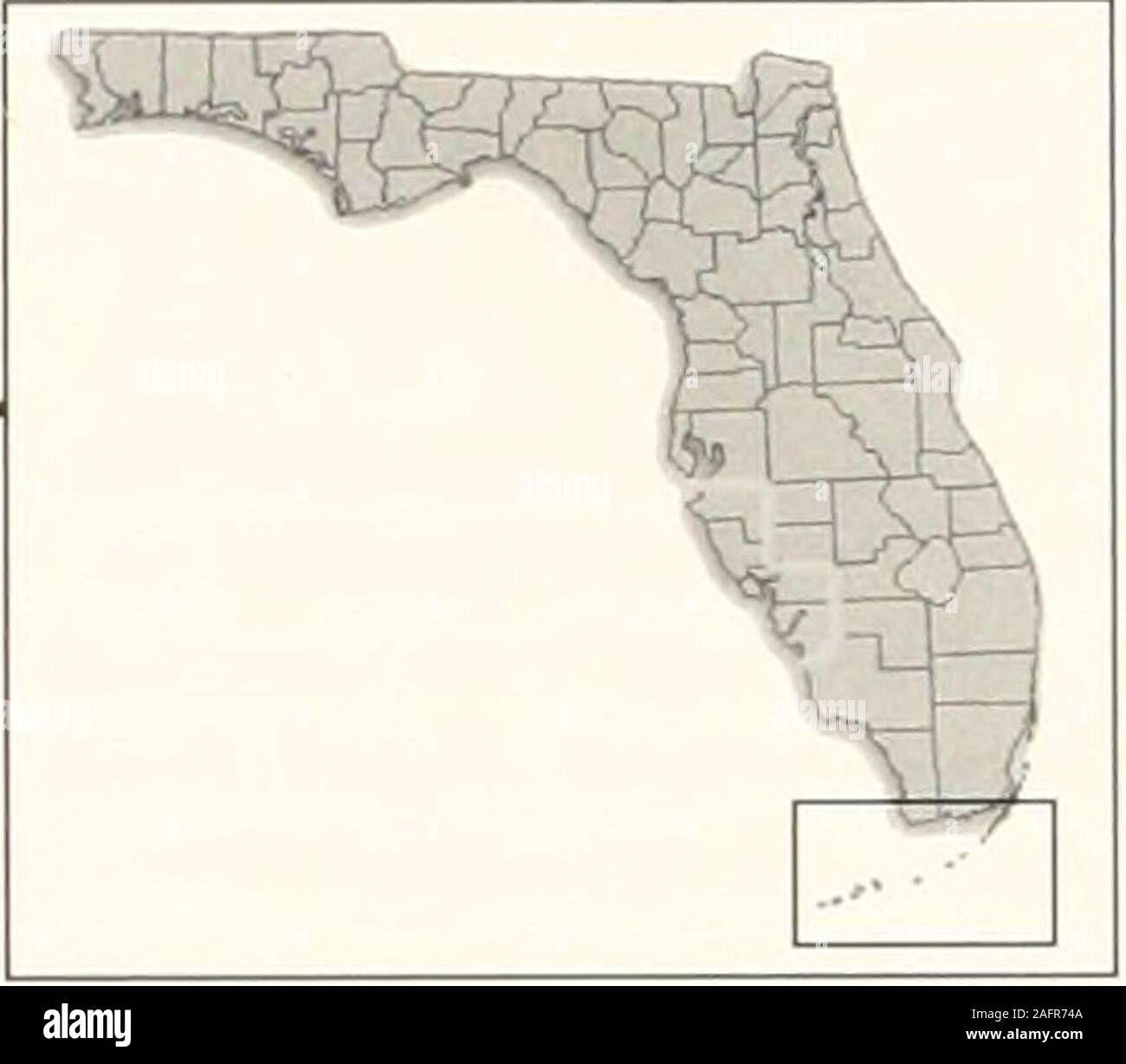 . Bollettini di American paleontologia. patterns riconosciuti da Turney. Il nostro obiettivo era quindi di definire la molluscanbiofacies della Florida Bay quantitativamente. Se potessimo eseguiquesto, potremmo insegnare rapidamente il seminario participantsto identificare i gusci hanno bisogno di riconoscere il bio-facies per se stessi. Riconoscimenti alla fine dei 38 anni durante i quali ho haveworked su questo studio mi è difficile ricordare withcomplete certezza a tutti coloro che hanno contribuito tomy comprensione della Florida Bay. Ma io cercherò. La prima persona a cui io sono indebitati per intro-di diminuire di me per i molti fasc Foto Stock