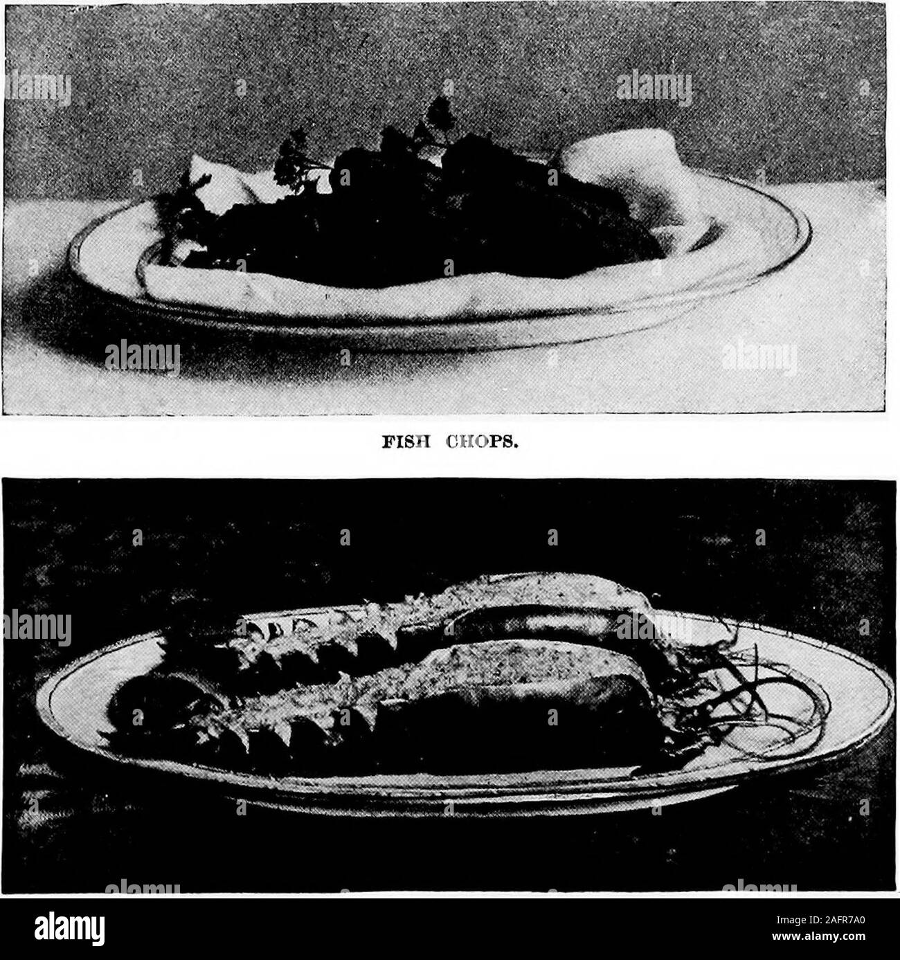 . Il cuoco del secolo prenota : con un nuovo supplemento di un centinaio di entrate di especial eccellenza. PISH trita. (Vedi pagina 121). Atri FABCI. SHELL-PESCE, ASTICI GRANCHI OTSTEBS ostriche sono fuori stagione durante i mesi ofMay, Giugno, Luglio, e .Attgllst&GT;--3io"^regola useoysters soltanto nei mesi che hanno la lettera r trovanella nome. Quando viene servita cruda, la varietà di piccole dimensioni sono i migliori.Essi sono lasciati sul profondo la metà del guscio. Sei areallowed per ogni persona. Essi devono essere disposti ^^ *•regolarmente sulla piastra attorno un po' di ghiaccio rotto ammenda, semi-shoU.la valvola sul lato rivolto verso il centro del plat Foto Stock