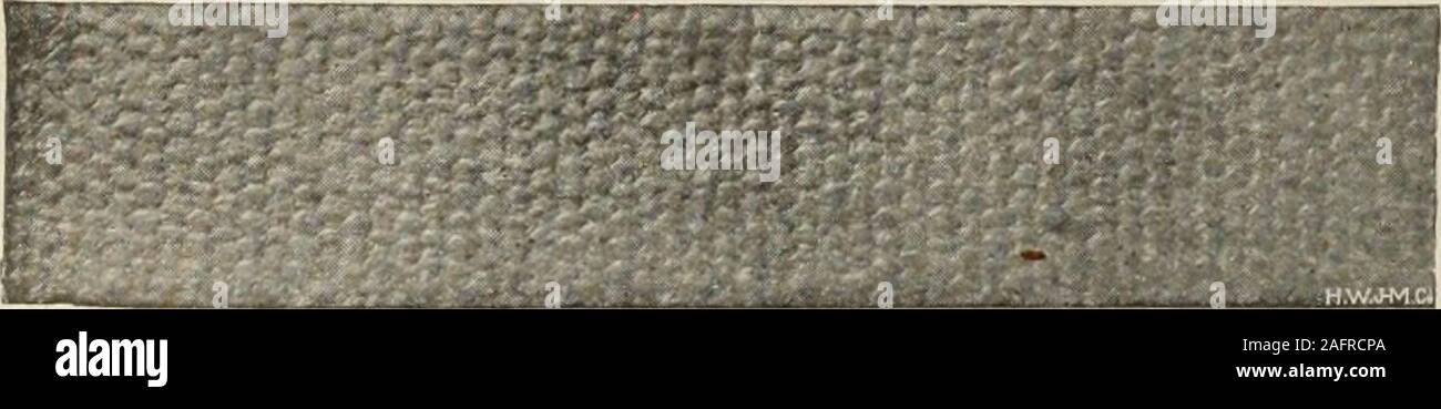 . Canadian macchinari e macchine utensili per la lavorazione di metalli (gennaio-giugno 1913). Circolare di spessore del dente intero Dedendum. Addendum. Passo passo in linea. Profondità. 4 incbes 2.0000 2. 74(14 1.4732 1.2732 3% 1.7500 2.4031 1.2890 1.1140 3 1,5000 2.0598 1.1049 0.9550 2% 1.3750 1.8882 1.002!&LT; O.N754 2% 1.2500 1.7105 0.9207 O.T.Os 2% 1.1250 1.5449 0.8287 0,71(12 2 1.0000 1.3732 0.736C 0.6366 1% 0.8750 1.2016 0.G445 0.5570 1% 0.7500 1.0299 0.5525 0.4775 1% 0.6250 0.8583 0.4604 0.3979 1 0.5000 0.6866 0.3083 0.3183 0.4375 % 0,0007 0.3223 0.2785 % 0.3750 0.5150 0,27(12 % 0.2387 0.3125 0.4291 0.2301 0.1989 y2 0.2500 0.3433 Foto Stock