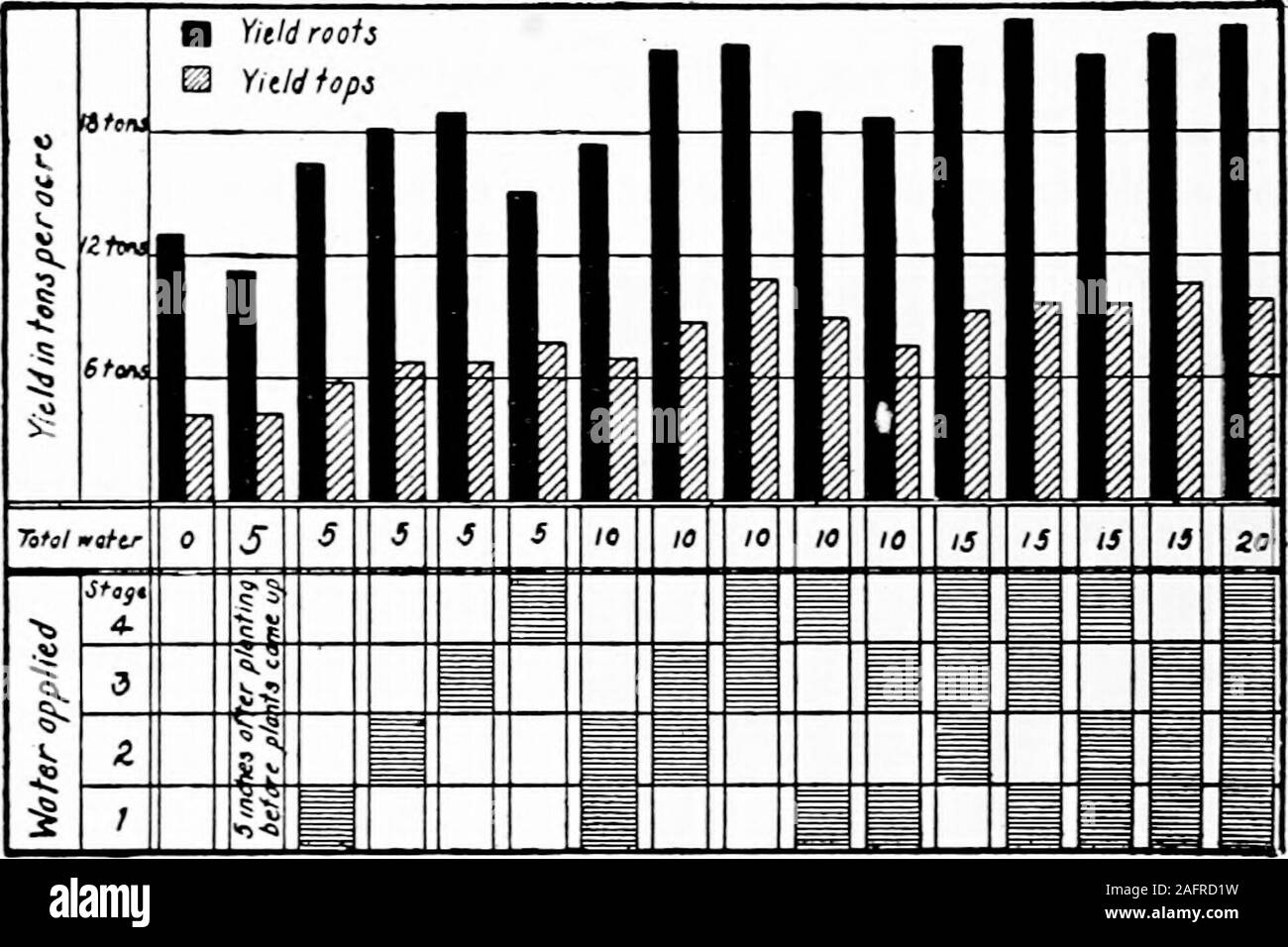 . Agricoltura occidentale. Figura 73.-un buon tipo di barbabietole da zucchero. 202 WESTERN PRODUZIONE AGRICOLA. La Germania e la Russia hanno sollevato circa asmany barbabietole da zucchero come il resto del mondo insieme. In 1910Il mondo prodotti otto e un milione e mezzo di tonnellate di barbabietole sugarfrom, mentre gli Stati Uniti prodotta ma uno halfa milioni di tonnellate. Michigan, Colorado, California, Utah e. Figura 74.-resa in radici di barbabietola e di sommità su impianti ricezione di diversi quantitativi di acqua ofirrigation in diversi stadi. Media per 6ve anni. Sono il nostro capo dei produttori di barbabietole da zucchero. Utah conduce in ilnumero di tonnellate di barbabietole sollevato Foto Stock