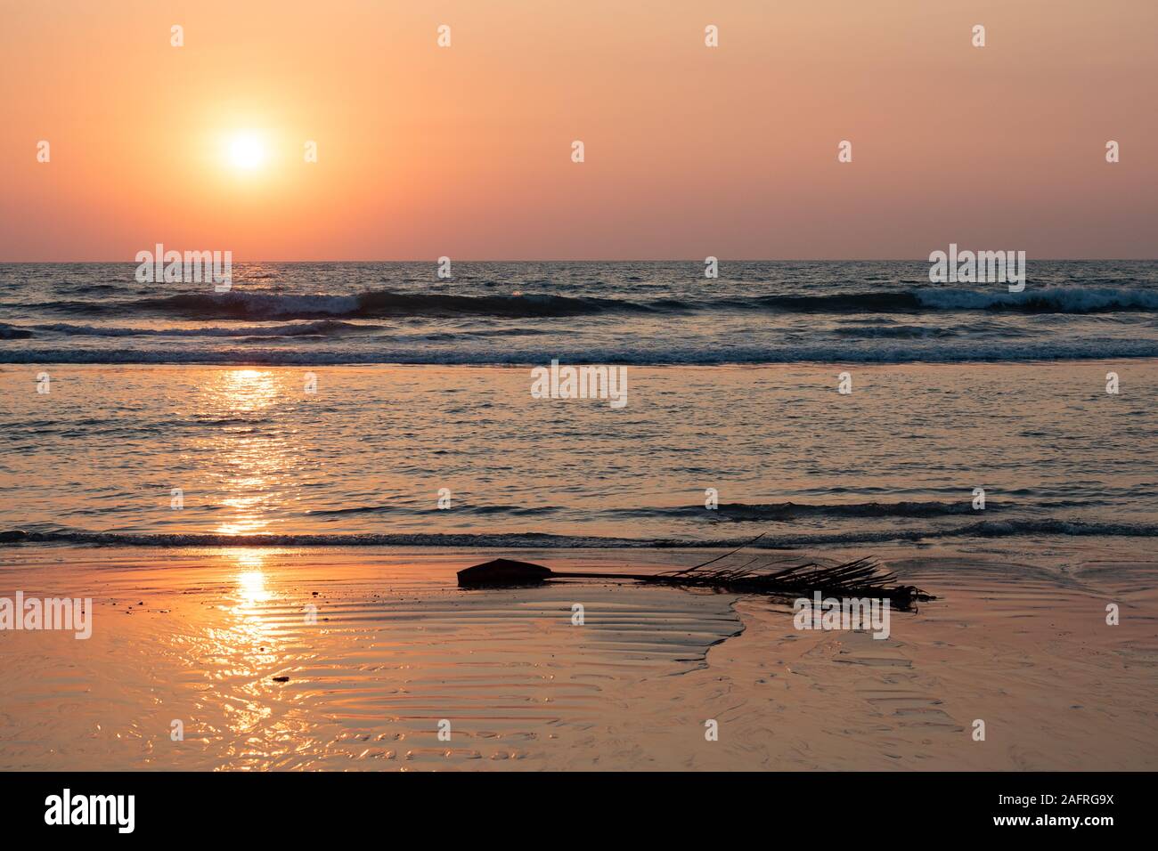 Un ramo solitario adagiato sulla spiaggia sullo sfondo del sole che tramonta. Goa India 2019 Foto Stock