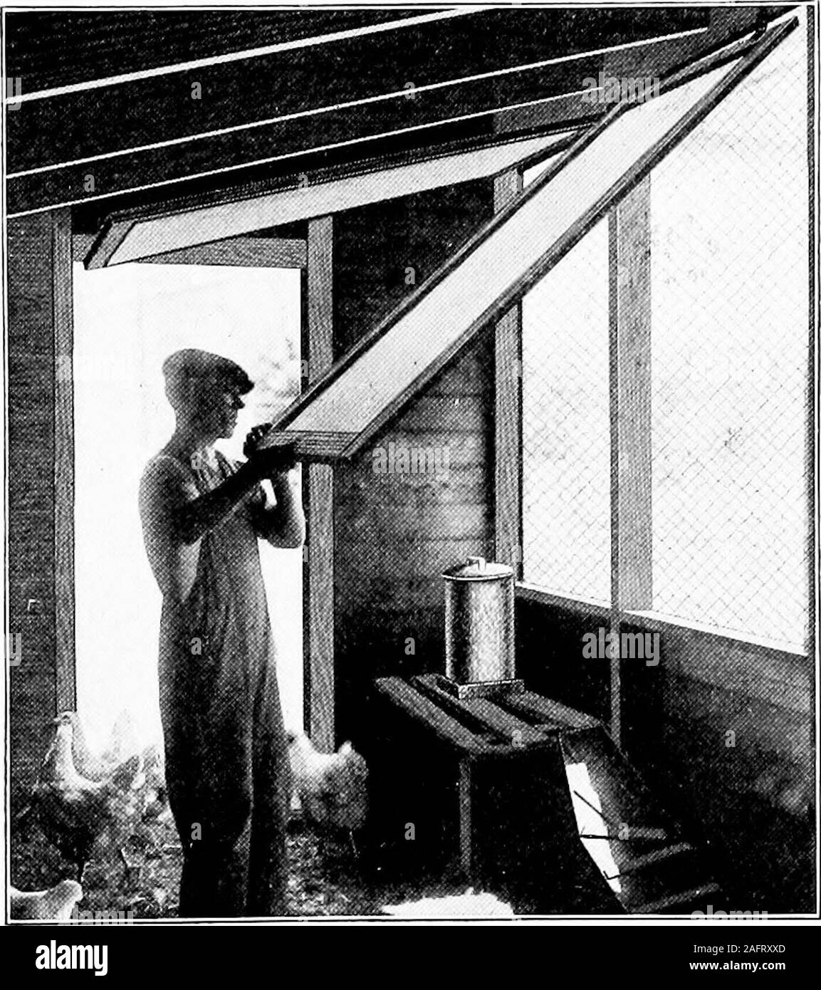 . Il pollame per la fattoria e casa. Rendere il nord, est e westsides wind-prova. Fondazioni in calcestruzzo e pavimenti sono rat-prova e facile tokeep pulita. Utilizzare un sacco di rifiuti cucciolata è più conveniente di malati galline. Hanno la parte superiore del pavimento da sei a otto pollici più altodel fuori terra. Questo assicura un buon drenaggio. Utilizzare un materiale di riempimento in pietra ofcrushed,ghiaia grossa, orcinders a preventmoisture fromcoming fino frombelow e mantenere-ing floordamp. Fare un widedoor in modo che la granella litterand può bewheeled in e ilvecchio wheeledOut lettiera. Il severityof l'inverno de-termines il tipodi casa bisogno.La casa Foto Stock