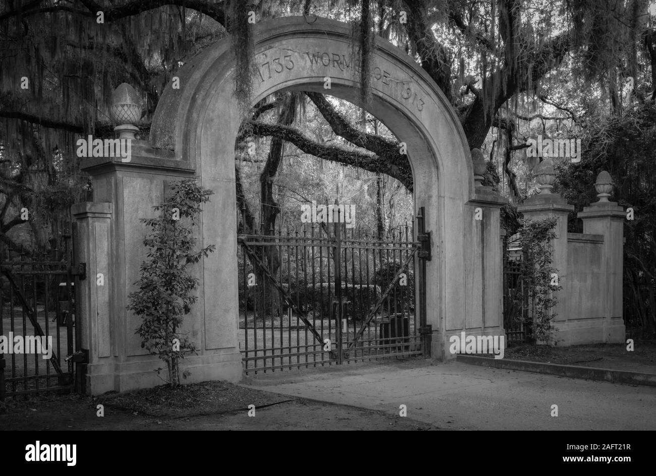 Il sito storico di Wormsloe, conosciuto in modo informale come Wormsloe Plantation, è un sito storico vicino a Savannah, Georgia, negli Stati Uniti. Foto Stock