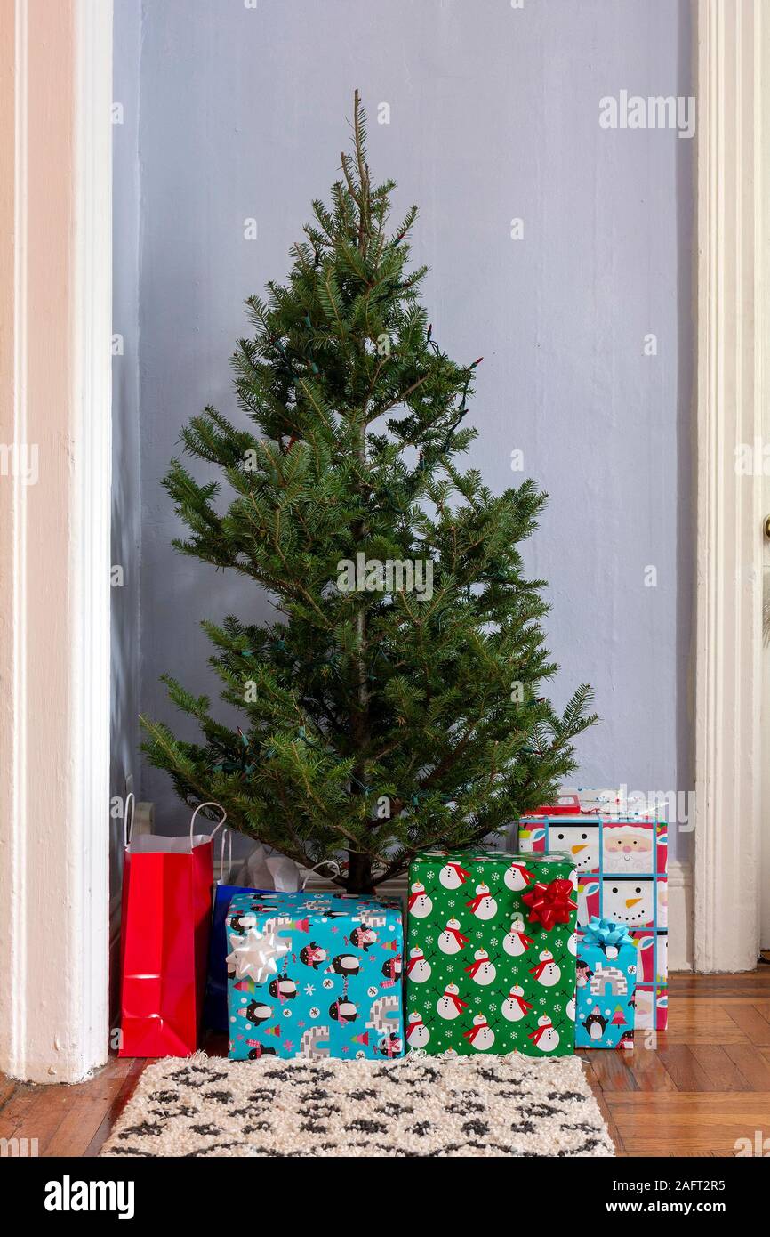 Albero di Natale piccolo in angolo con i regali sotto esso dentro Un soggiorno appartamento Foto Stock