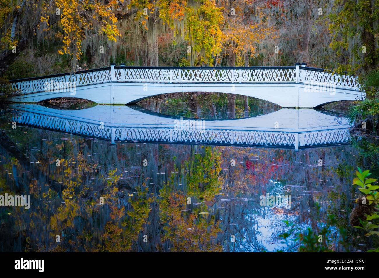 Magnolia Plantation and Gardens è una casa storica con giardini situata sul fiume Ashley a ovest di Ashley, Charleston County, South Carolina. Foto Stock