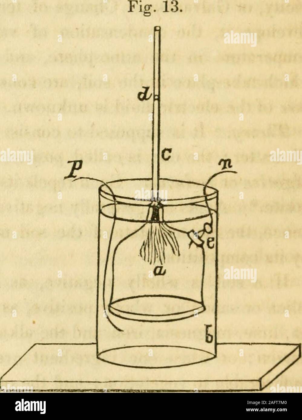 . Elementi di scientifico e agricoltura pratica : O, l'applicazione della biologia e geologia, e della chimica per agricoltura e orticoltura. ulse. Sembra essere una proprietà posseduta da tutti i thin, mem-branous sostanze, quando i liquidi di diversa densità, andelectro-motive poteri sono posti su ciascun lato del modulo mem brane-. Il seguente è un'illustrazione meccanica di questo cu-rious proprietà. Fig. 13 rappresenta la endosmometer. Itconsists di una piccola campana di vetro un ricevitore, conun tubo di vetro c, atboth aperto alle estremità e accu-rately di cui è dotato il ap-erture in cima c.sopra la bocca del thereceiver è s Foto Stock