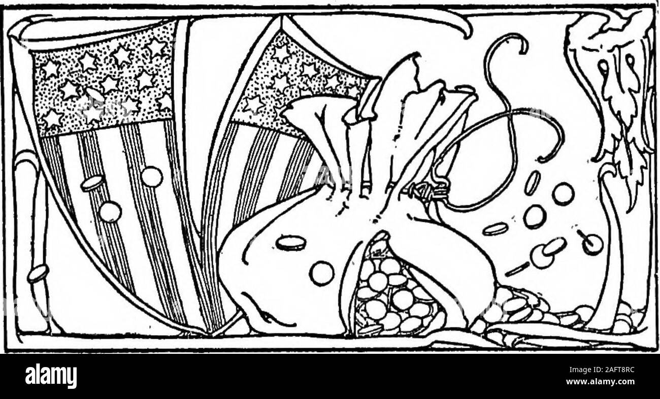 . Dal congressista Pumphrey, la gente amica. ii6. XVII Washington, D. C, 27 maggio.-Abbiamo hada simpatico gioco di poker la scorsa notte,Senatore Octopus, Il colonnello Bunker, e agentleman da New York-ho didntcatch il suo nome e, come di consueto, il mio luckwas con me. Polpi e bunker al-modi perdere quando io gioco con loro e lenuove Yorker sembravano non paga molto in funzione al gioco. Ho pulito fino a poco più di un thousandII17 CONGRESSMAN PUMPHREY dollari-facendo qualcosa su sixthousand che Ive ha vinto dal bunker senatorand dal dicembre. ProbablyI dovrebbe sentirsi bene. Il polpo ha chiesto meif non ho avuto un figlio. Y Foto Stock