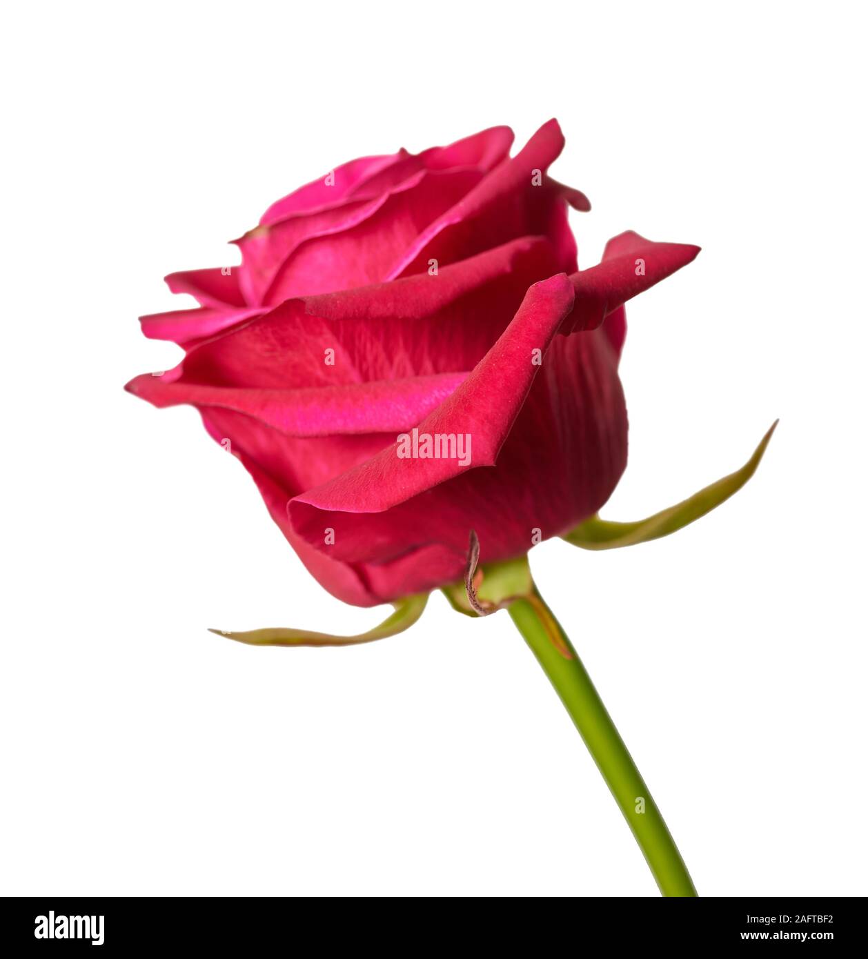 Un'estate di petali di rosa Immagini senza sfondo e Foto Stock ritagliate -  Pagina 2 - Alamy