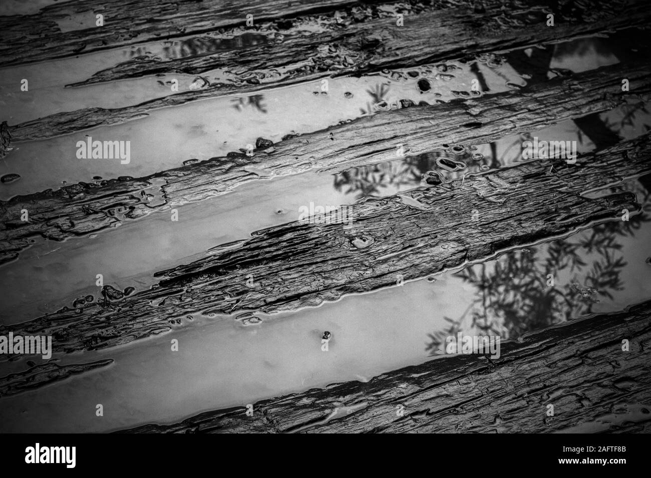 Pozza d'acqua sul percorso bagnato in bianco e nero Foto Stock