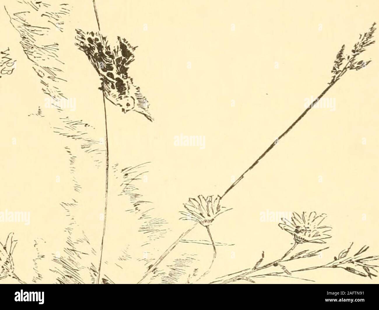 Lezioni Di Pittura Immagini E Fotos Stock Alamy