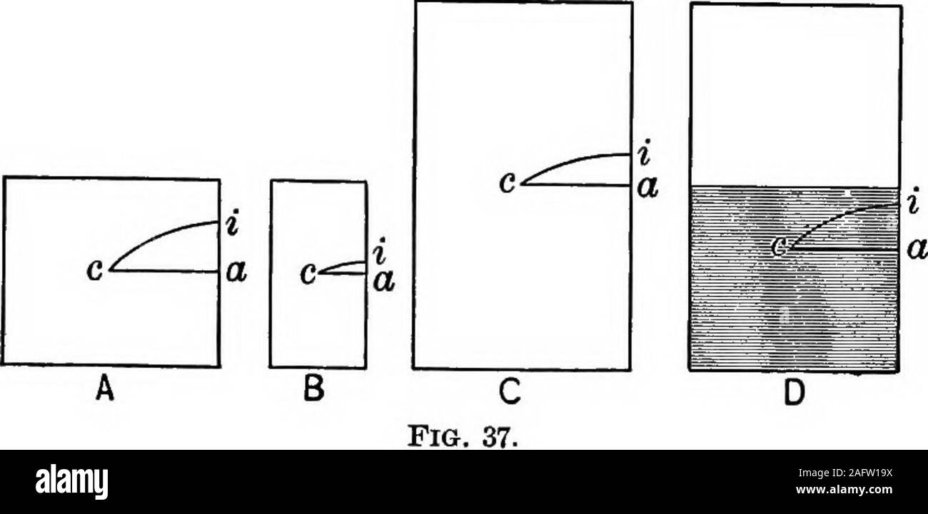 . I principi della fisica. La stabilità degli organismi OP. 57 altezza alla quale i loro cm. deve essere sollevata per rovesciarle.La lettera c (Fig. 37) segna la posizione del cm. di ciascuno dei quattro corpi A, B, C, e D. Se uno qualsiasi di questi bodiesbe rovesciato, il suo cm. devono essere passati attraverso l'arco ci,e sono stati sollevati attraverso l'altezza di IA. Confrontando un?con B, e supponendo di essere di uguale peso, abbiamo learnedhat di due corpi di ugual peso e altezza di cm., il cm. ofthat corpo che ha la base maggiore deve essere sollevata superiore, eche corpo viene quindi ribaltato con maggiore difficoltà. A. compa Foto Stock