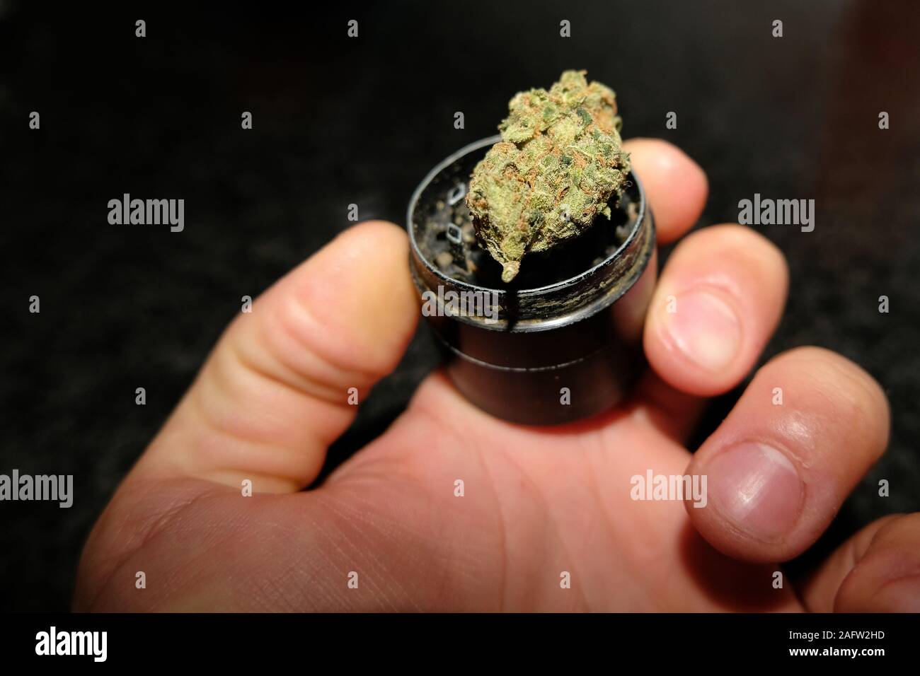 Guy tenere una Marijuana bud sulla cannabis grinder voce, tossicodipendenza da droga concept Foto Stock