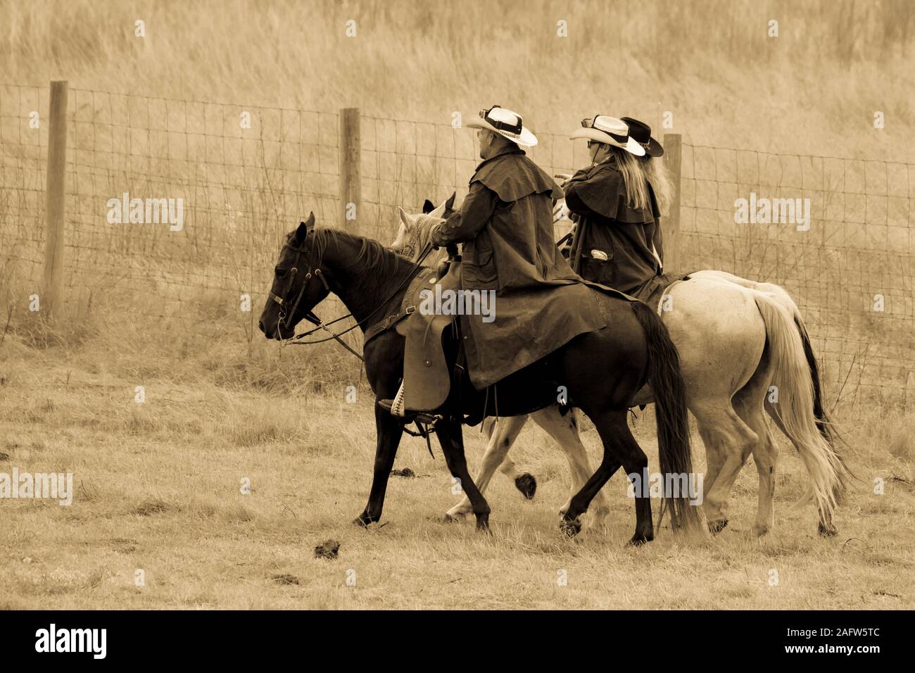 Settembre 27, 2019, Custer State Park, il Dakota del Sud, Stati Uniti d'America - cowboy e cowgirls annuale Custer State Park Buffalo Roundup Foto Stock