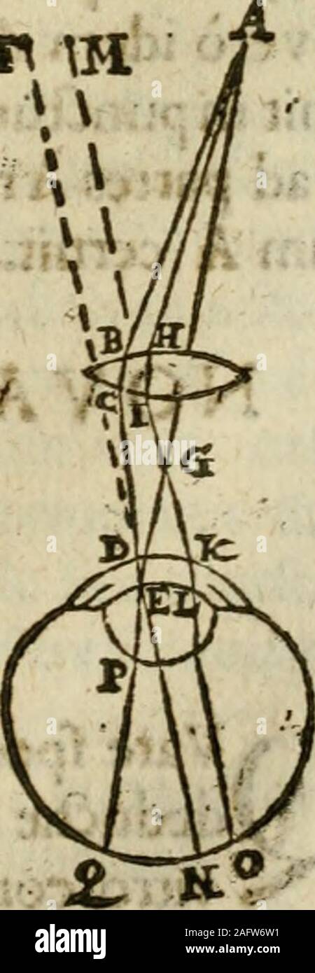 . Occhio hoc est : fundamentum opticum in quo ex accurata oculi anatome, abstrusarum experientiarum sedula pervestigatione, ex inuisis specierum visibilium tam euerso quam erecto situ spectaculis, necnon solido viene quindi rationum momentis raggio visualis eruitur sua visioni in oculo sedes decernitur, angvli visorii ingenium aperitur .... in terrogare iuuat cx aduerfafijs:;Quare res aliqua per vitrum conpexumin ccrta aliqua di ?itantia ^b pcuio viia, fitum &: locum permutat ? Vt.puni fi^uAarradietin yitd conuexi pundumB, exhocinC deindead o-cuhpundjjmD, abeoqjinE uf^uepcrueDiat, fpedabitur in un-lieno lo Foto Stock