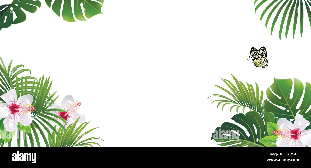 Banner di piante tropicali e butterfly su sfondo bianco Illustrazione Vettoriale