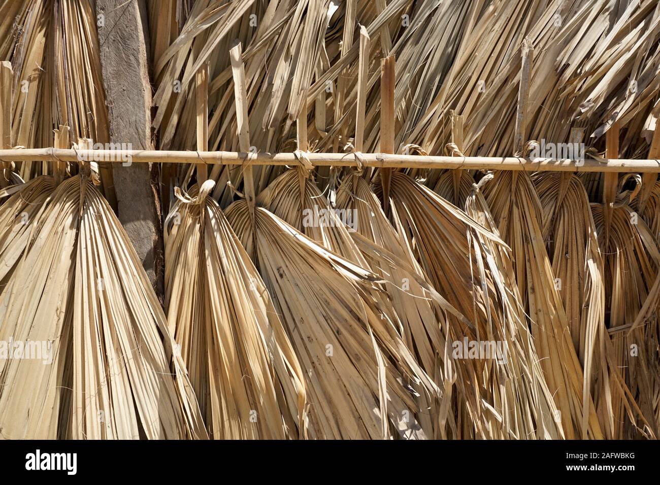 Close up di foglie di palma di coperture Foto Stock
