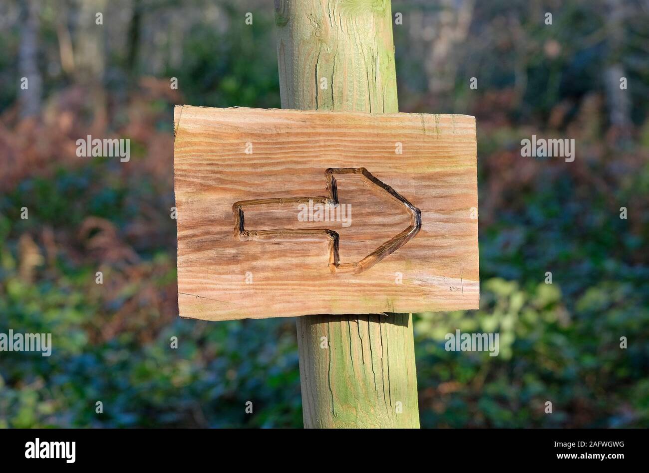 Legno intagliato la freccia direzionale segno Foto Stock