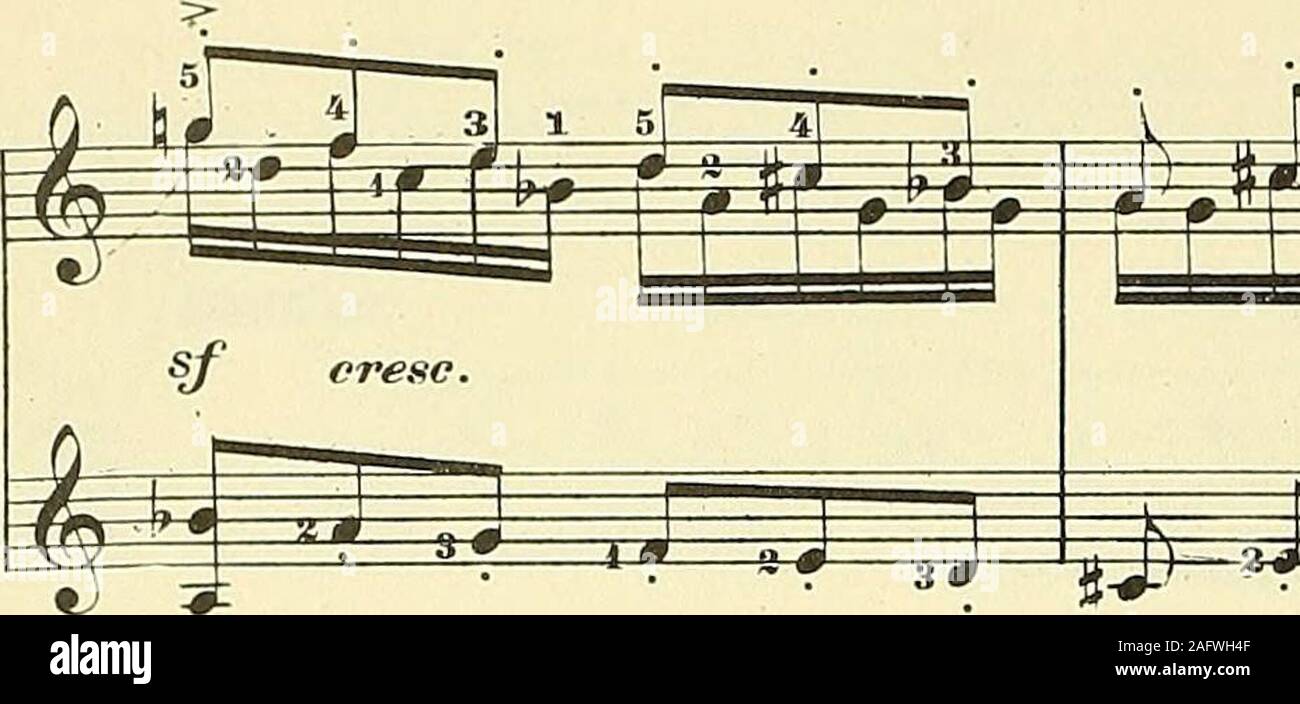 . Il corso universitario di music studio, pianoforte serie; un testo standardizzato-lavoro sulla musica per conservatori, collegi, private degli insegnanti e scuole; una base scientifica per la concessione di un credito scolastico per lo studio della musica ... Xii. * Sa. * 3-868-6 5-III-15. ^TTTff r i r r r i ^r^ Foto Stock