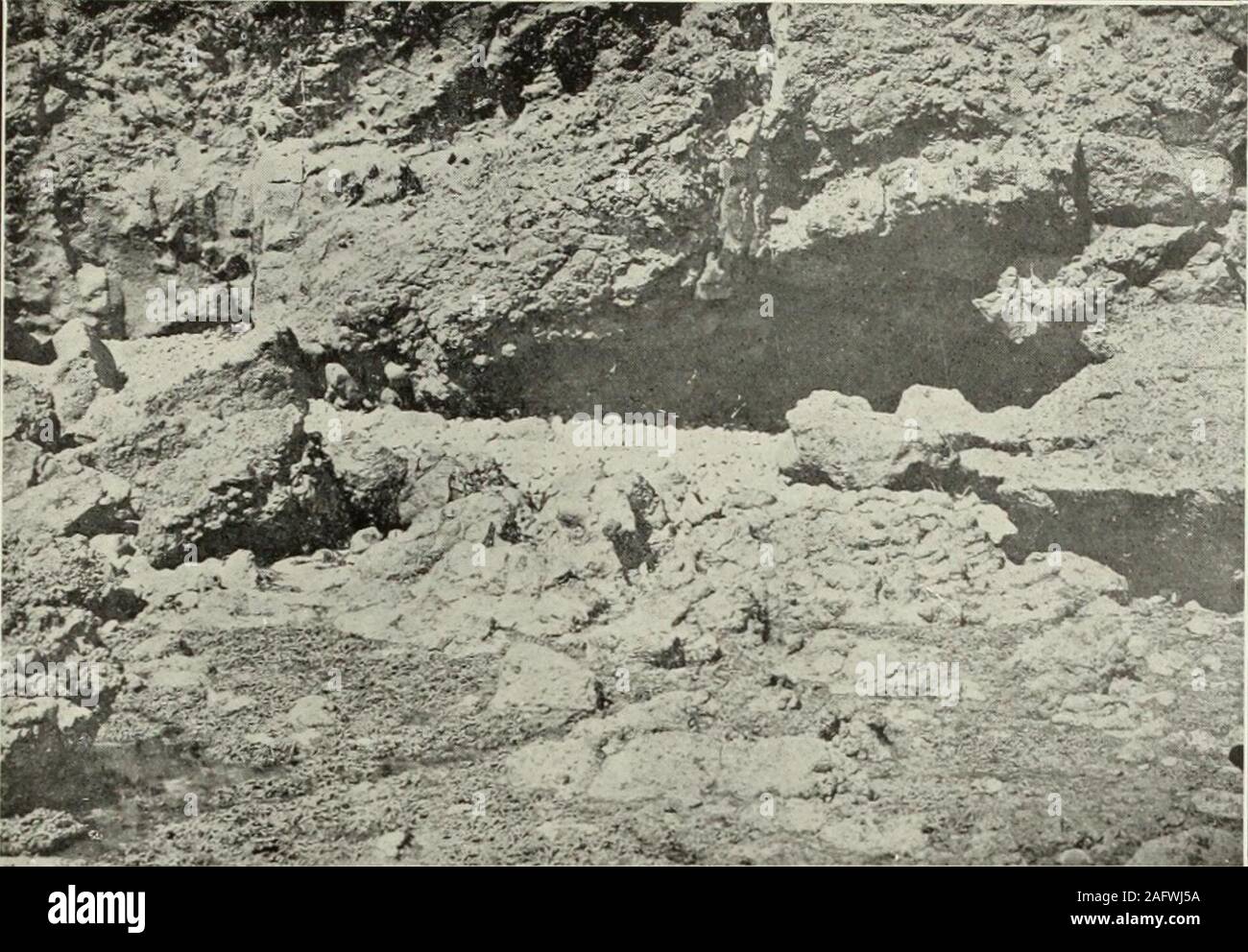 . La geologia del distretto di Oamaru, North Otago orientale (divisione di Otago). Fig. 153.-^Sezione lungo Chamberlin Street, di fronte a Oamaru giardino.s.II. Tufi breccias e. 6. Dolerite. Il dolerite consiste di plagioclase e augite in ben sviluppato cristalli concresciute.In corrispondenza della estremità superiore della vecchia diga di Phoenix, un miglio al di sopra della giunzione di Parsons Creek,il tufo e un flusso di basalto sono underlain da un affioramento di hard grev semi-crystallineflaggy calcare. Non vi è nulla per indicare l'età di questo calcare, ma asjudged dal suo rapporto con il tufo può essere riferito al Ototaran. Plat Foto Stock