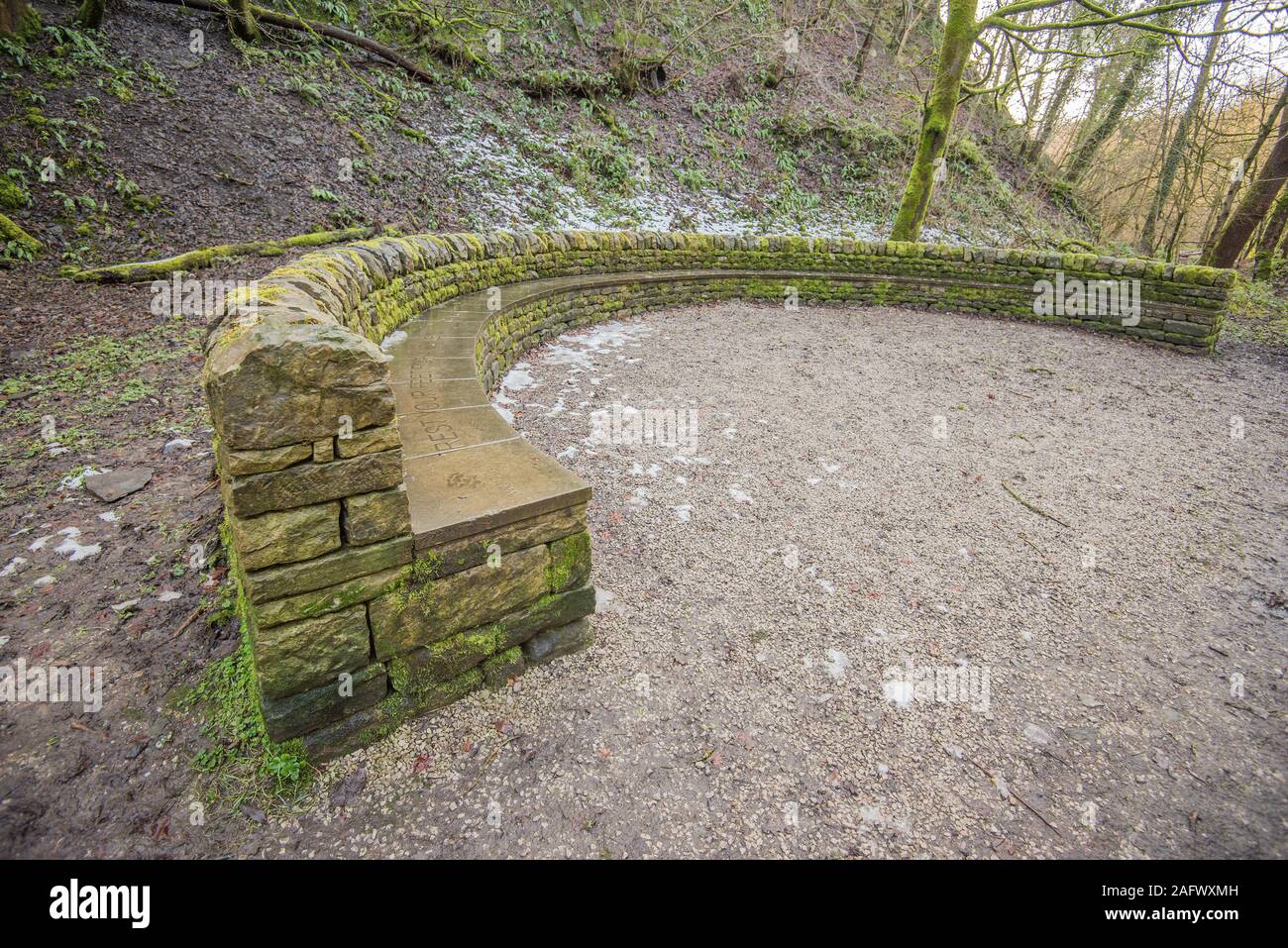 Boschi di Skipton Foto Stock