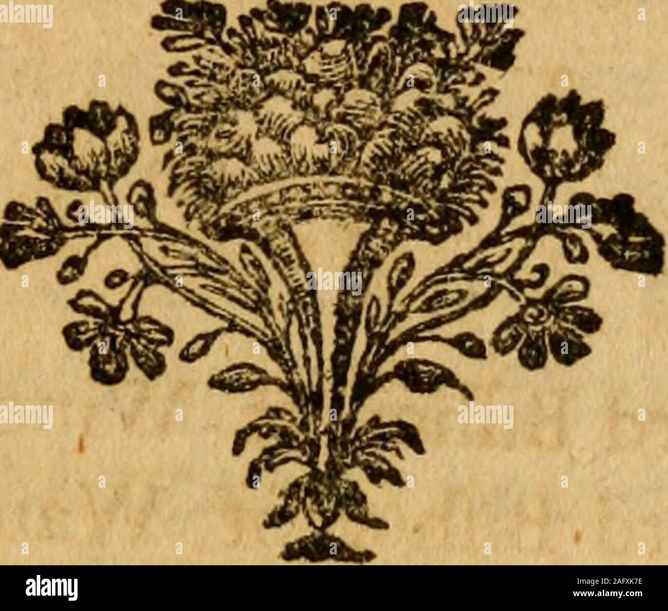 . Discorsi su vari argomenti, dalla fine del Reverendo John Leland, D.D. : Con una prefazione, dando conto della vita, carattere e scritti dell'autore. f Stawford JLindfey Simpfon Efq^. Di Bahworth William Stewart Efq. lof Killymoore Rev. John Simpfon, di Stoke Rev. Il sig. Sandoz, di JVaterford Rev. Anthony Stirling Giacobbe Sankey Efq^. Il sig. Richard Sankey Sig. William Stewart il sig. John Stewart Sig.ra Anne Stewart Sig.ra Stewart, Newtown Il Sig. Giovanni Swanwick Sig.ra Singleton il sig. Robert Stevelly, di Corke Teofilo Thompfon Efq,il Sig. David Thompfon, 2 SetsMr. Edwin ThomasMr. Rimani Jofeph V, SUBSCRI Foto Stock