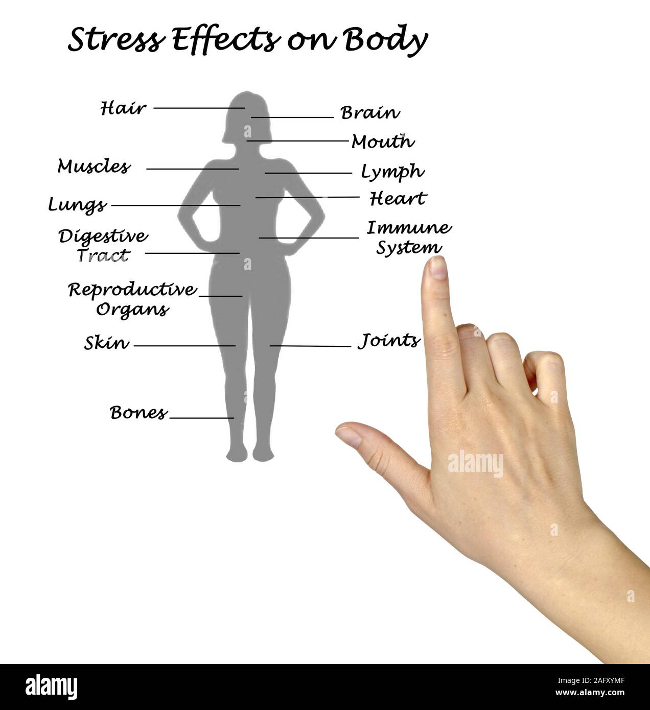 Gli effetti dello stress sul corpo Foto Stock